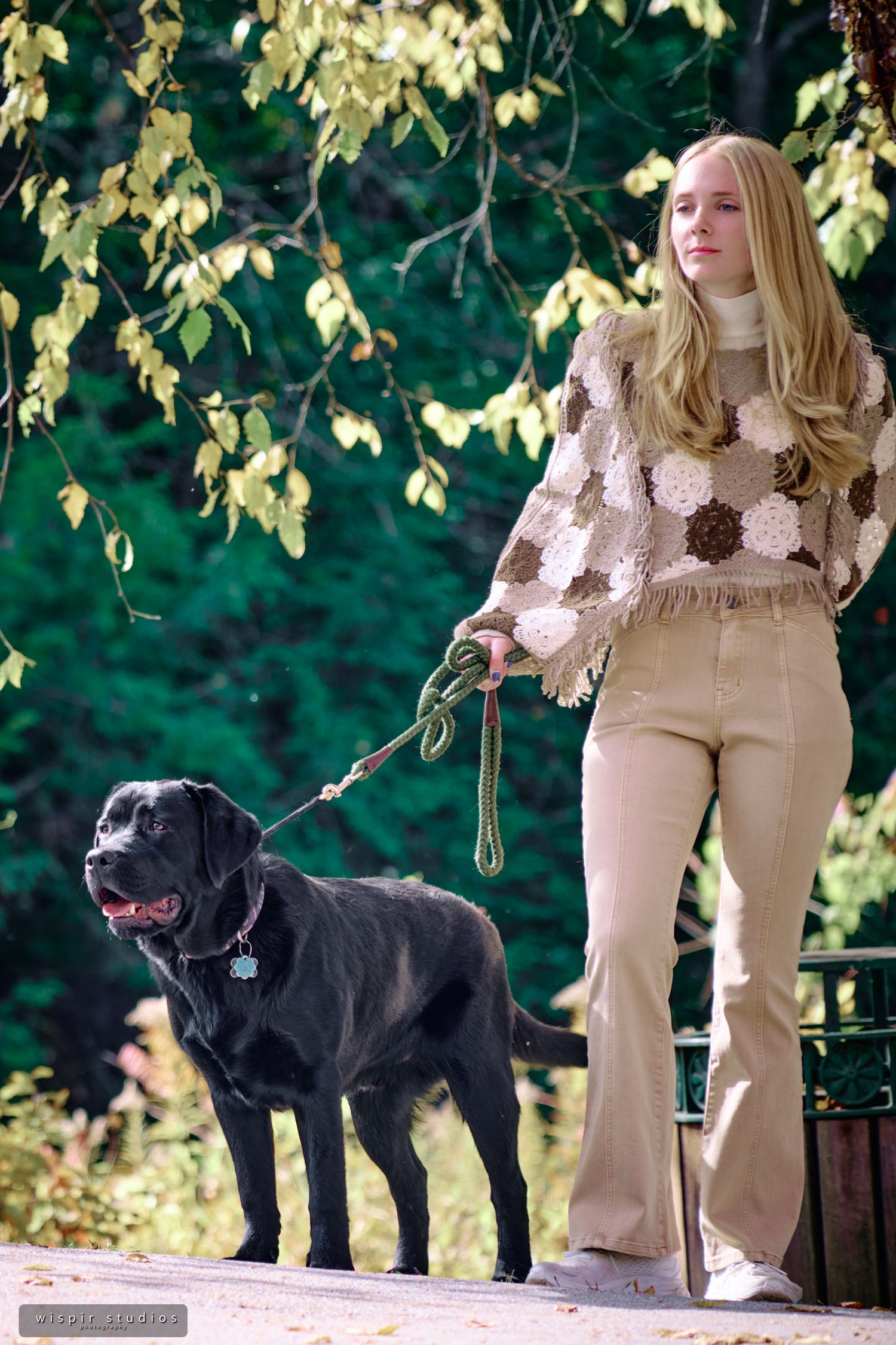 Black Labrador dog stands next to someone wearing beige clothing in a garden setting with yellow leaves.