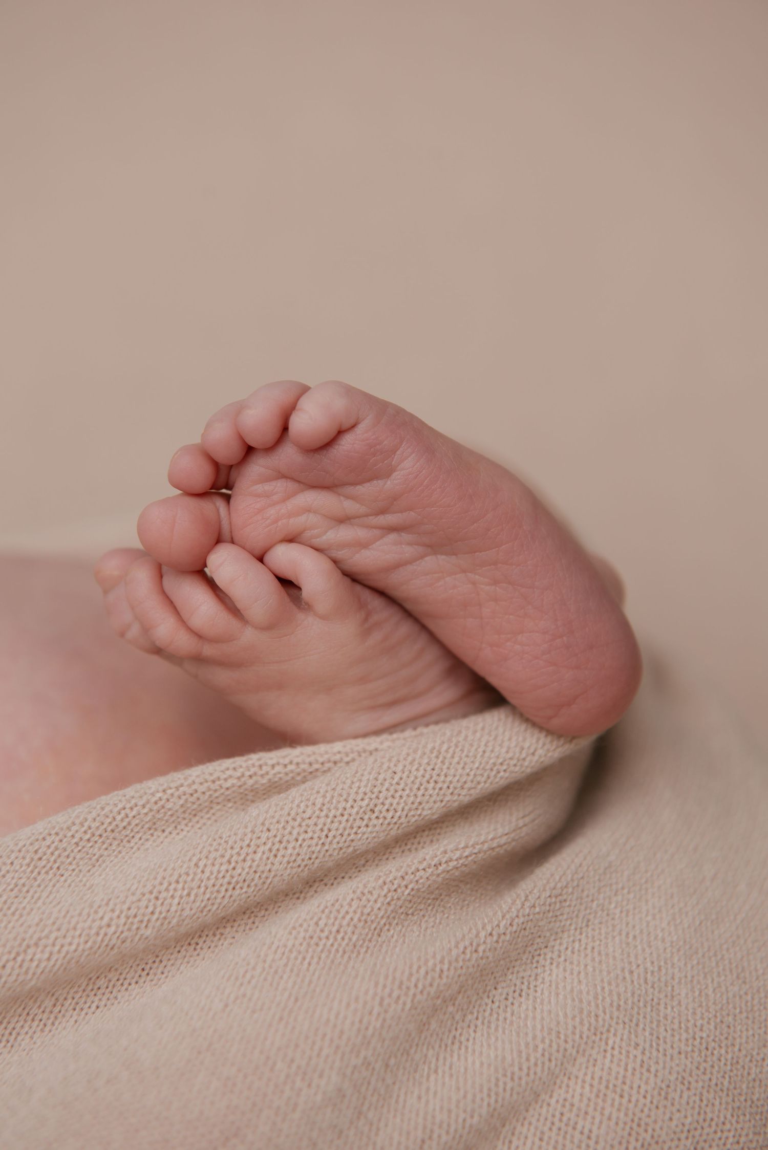 photographe naissance à orléans