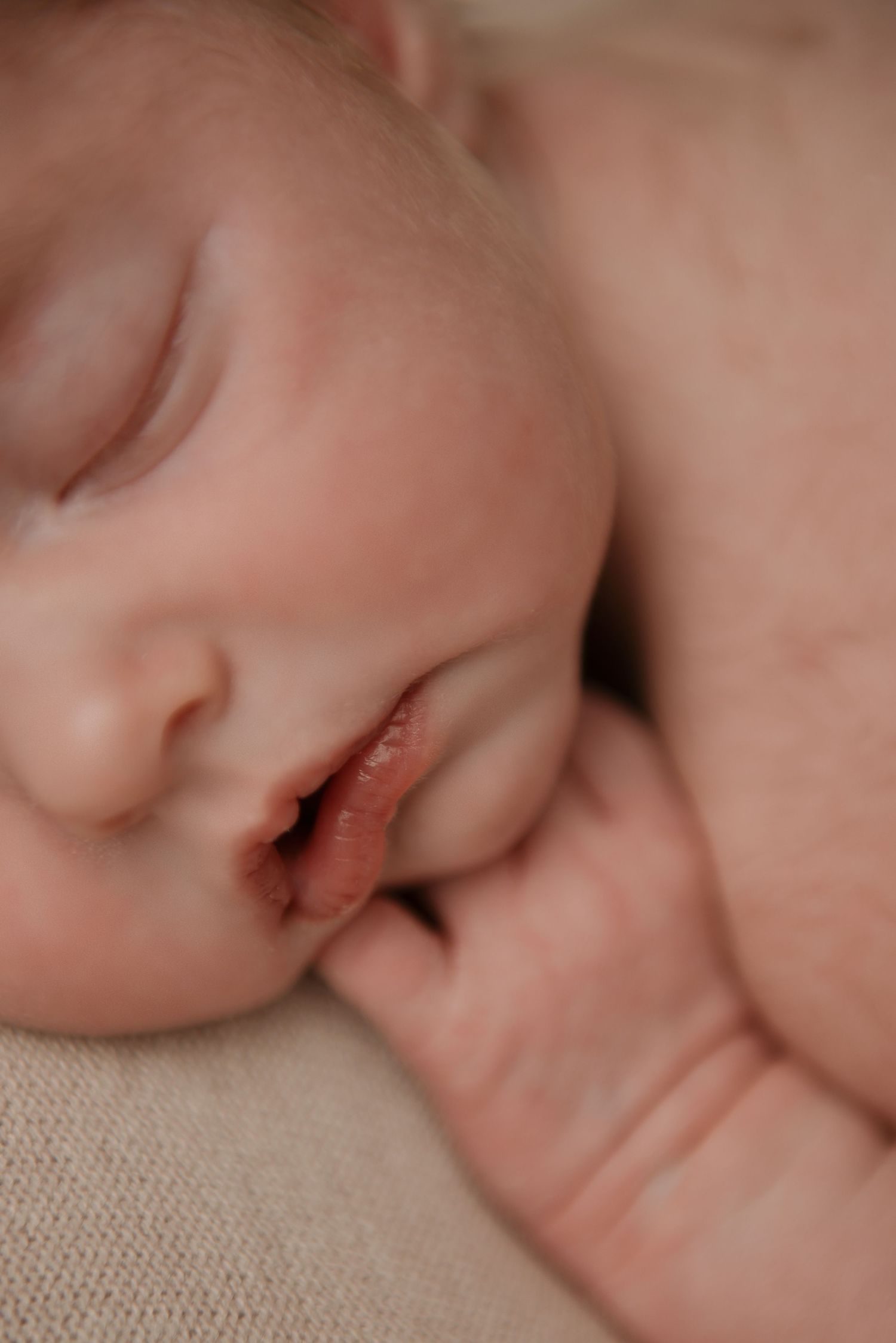 photographe naissance à orléans