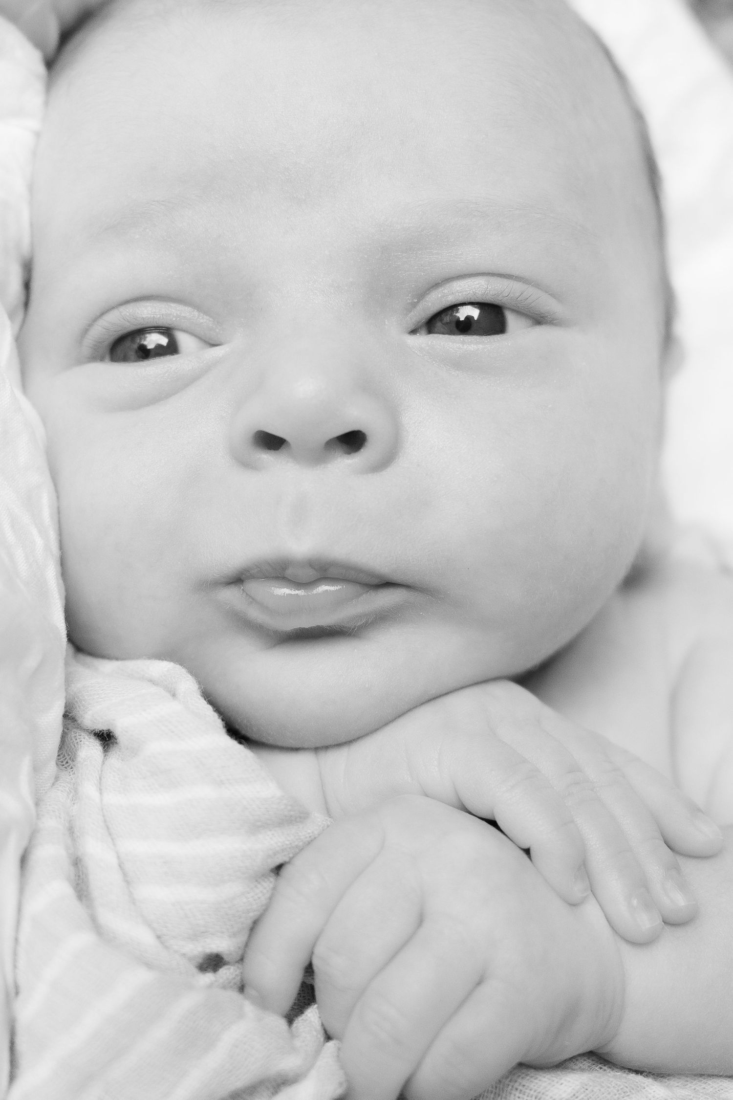 Close up portrait of newborn baby swaddled in white fabric.