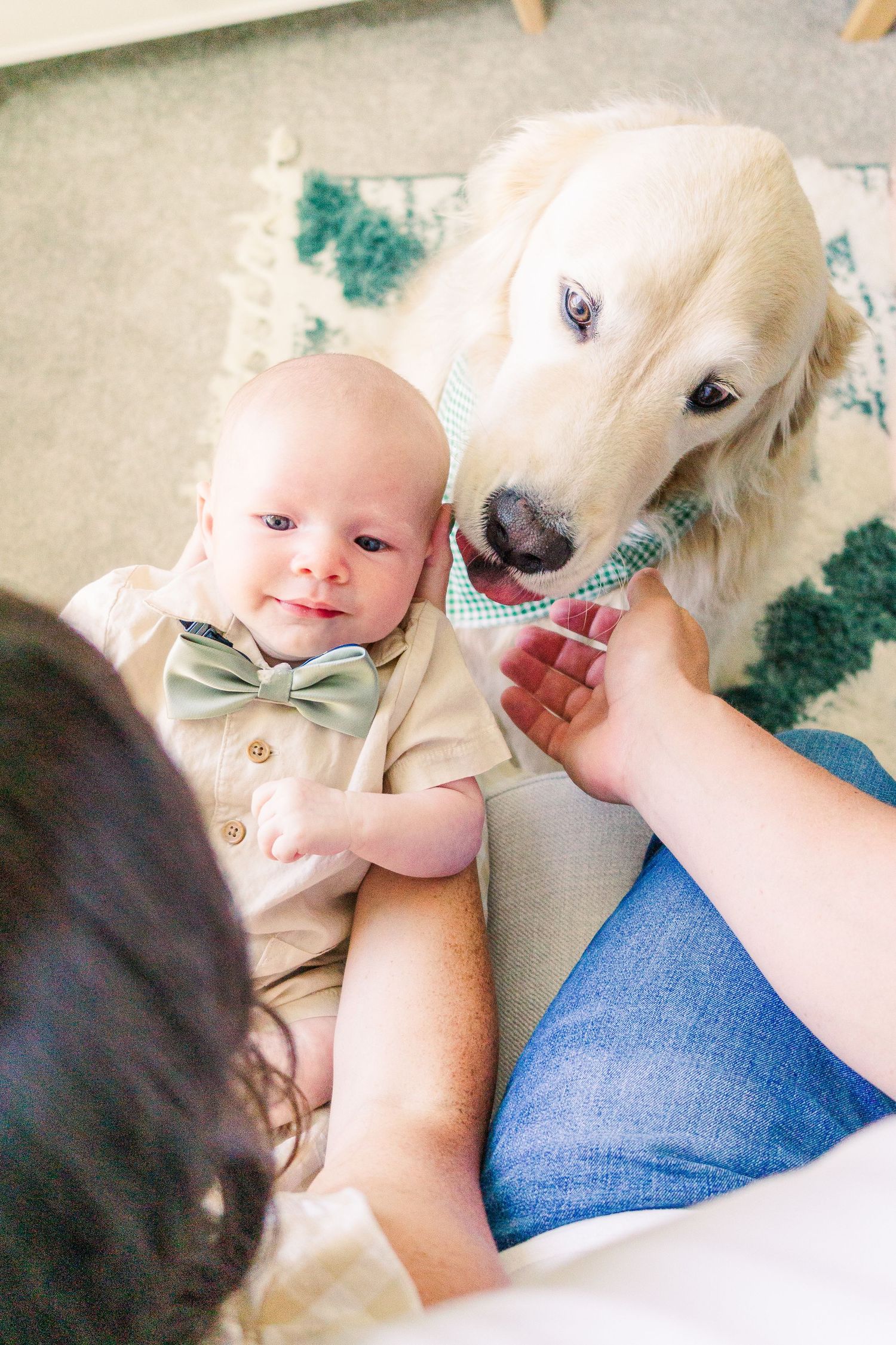 A gentle Golden Retriever wearing a bowtie poses with a baby in formal dress on a patterned carpet.