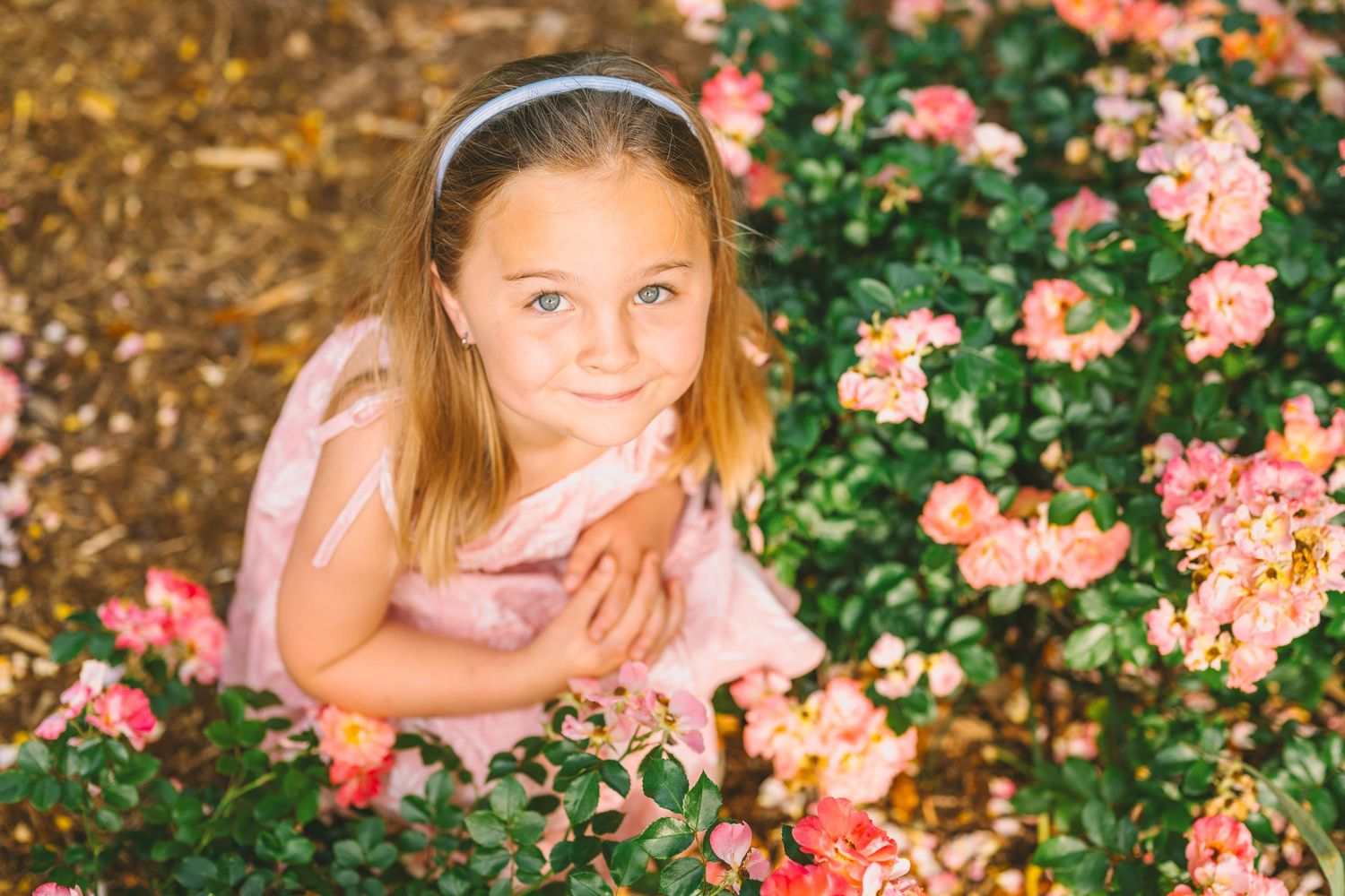 View from above of person in pink dress sitting next to blooming pink roses in a garden.