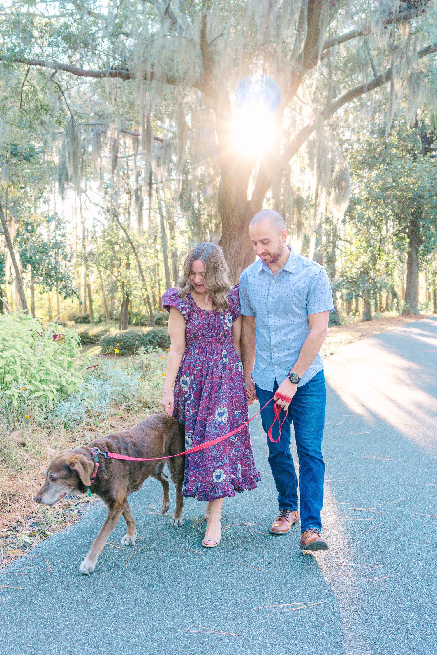 Couple walking their dog on a tree-lined path during golden hour.