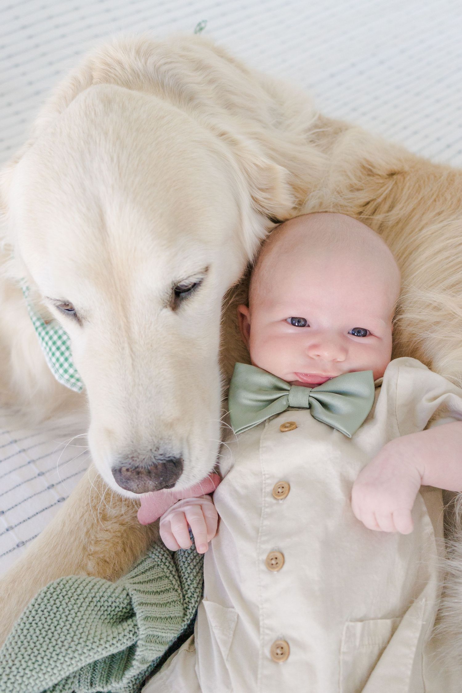 White dog and baby in bow tie lying together on white blanket.