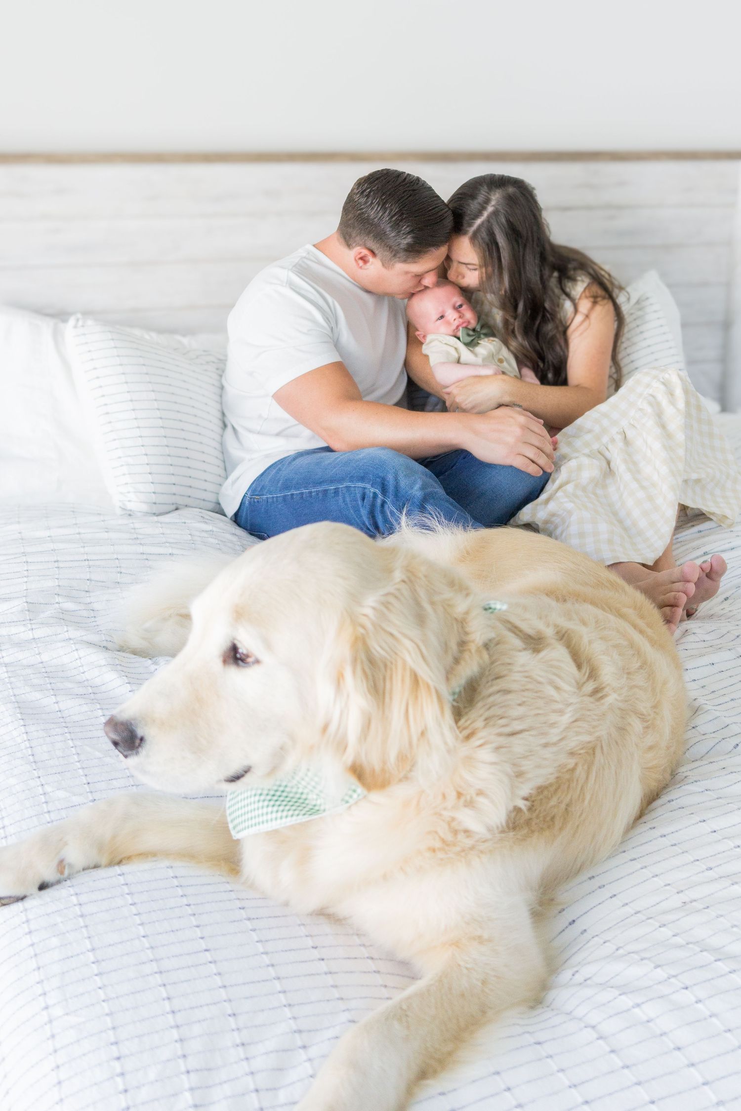 White Golden Retriever rests on bed while couple shares intimate moment.