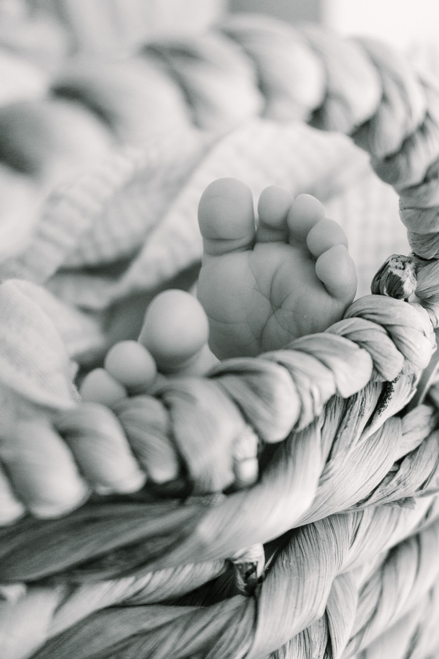 Close-up black and white photo of tiny baby feet resting on textured blankets.