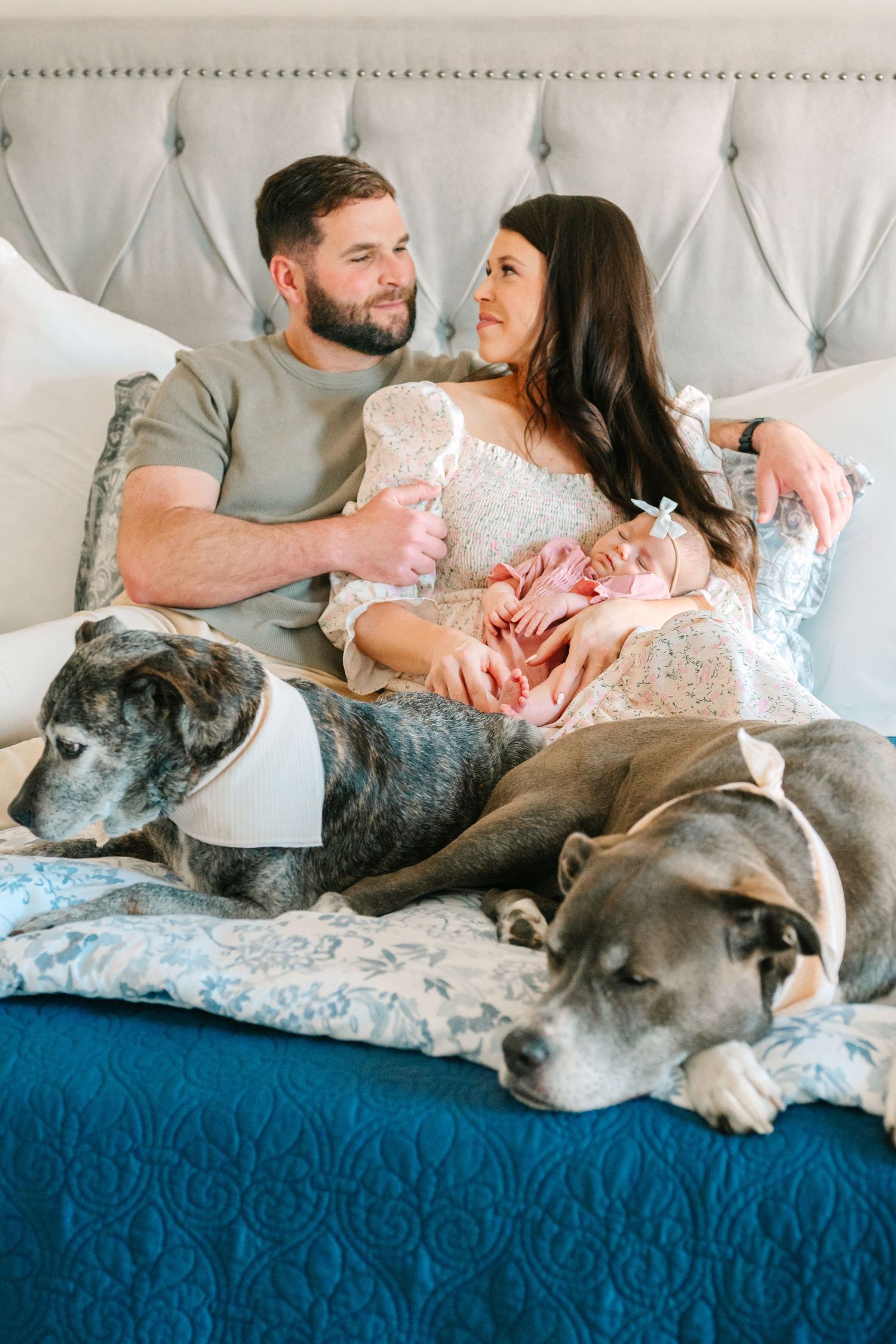 A happy couple rests on a tufted headboard with their newborn baby and two large dogs lounging on a blue blanket.