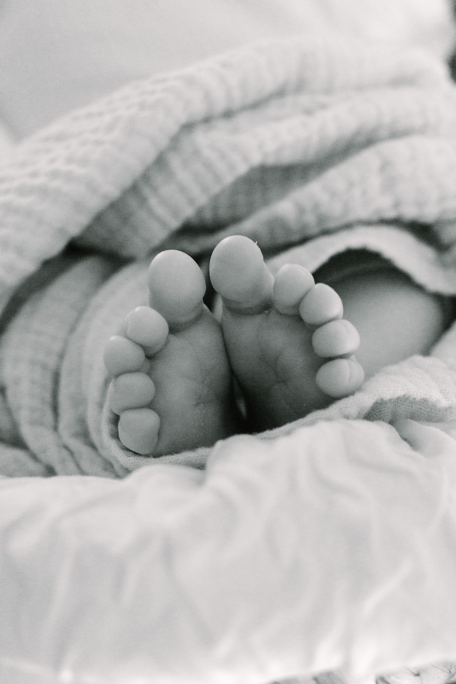 Close-up black and white photograph of tiny baby feet wrapped in soft white towels showing delicate toes.