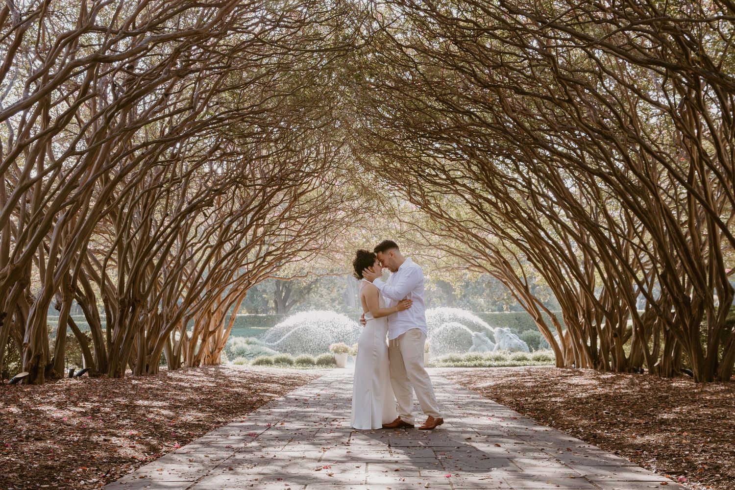 A couple in wedding attire poses beneath a natural archway of twisted tree branches in a scenic outdoor setting.