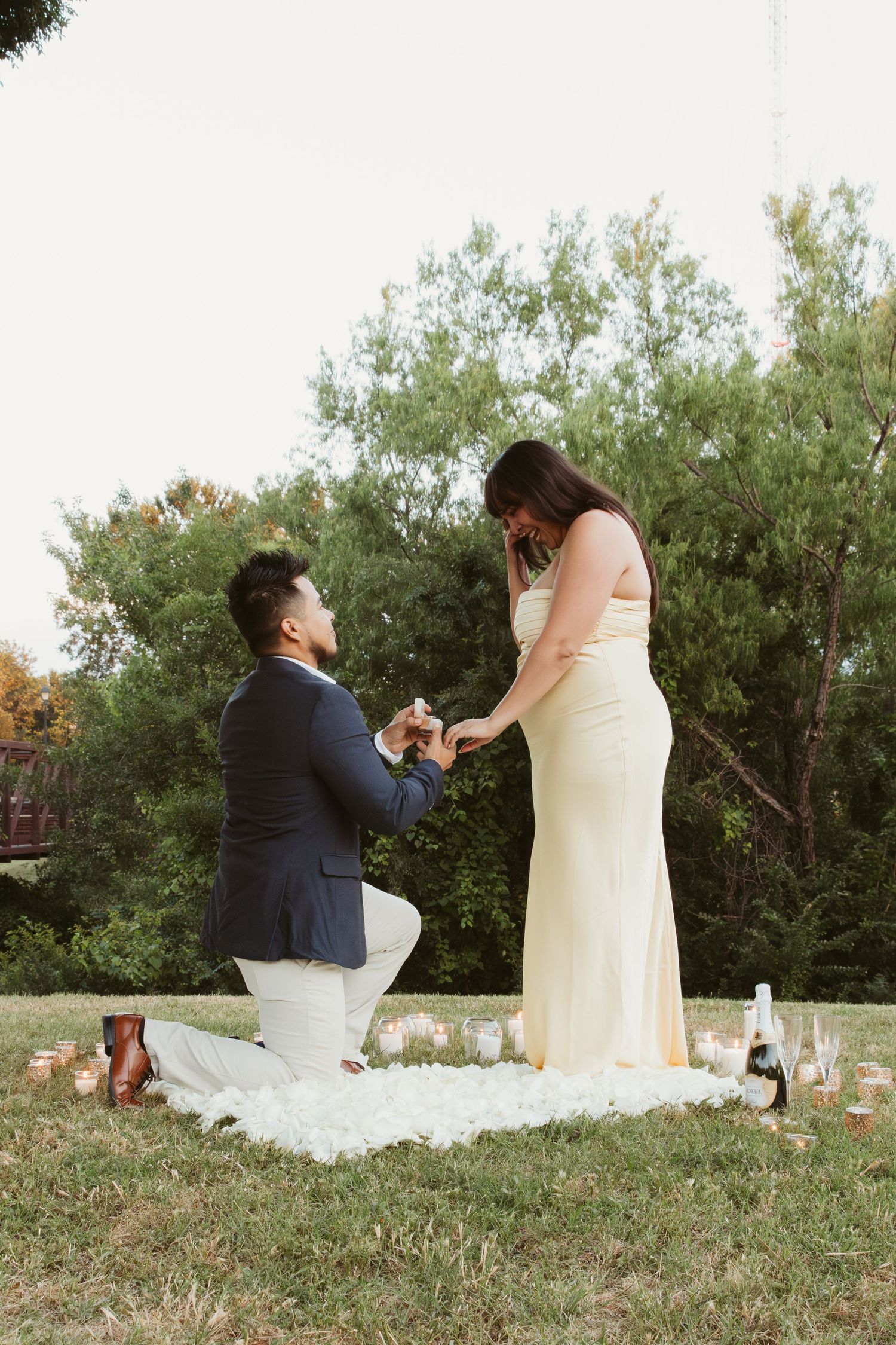 A romantic proposal scene outdoors with two people on a picnic blanket surrounded by trees and greenery.