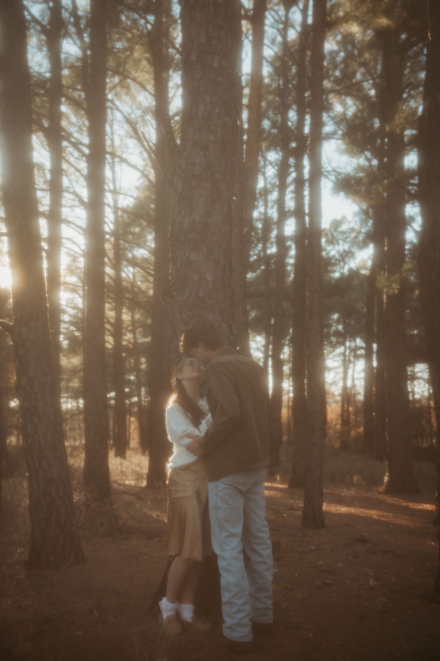 A dreamy forest scene with sunlight filtering through pine trees as people walk together on a misty autumn afternoon. engagement photos DFW