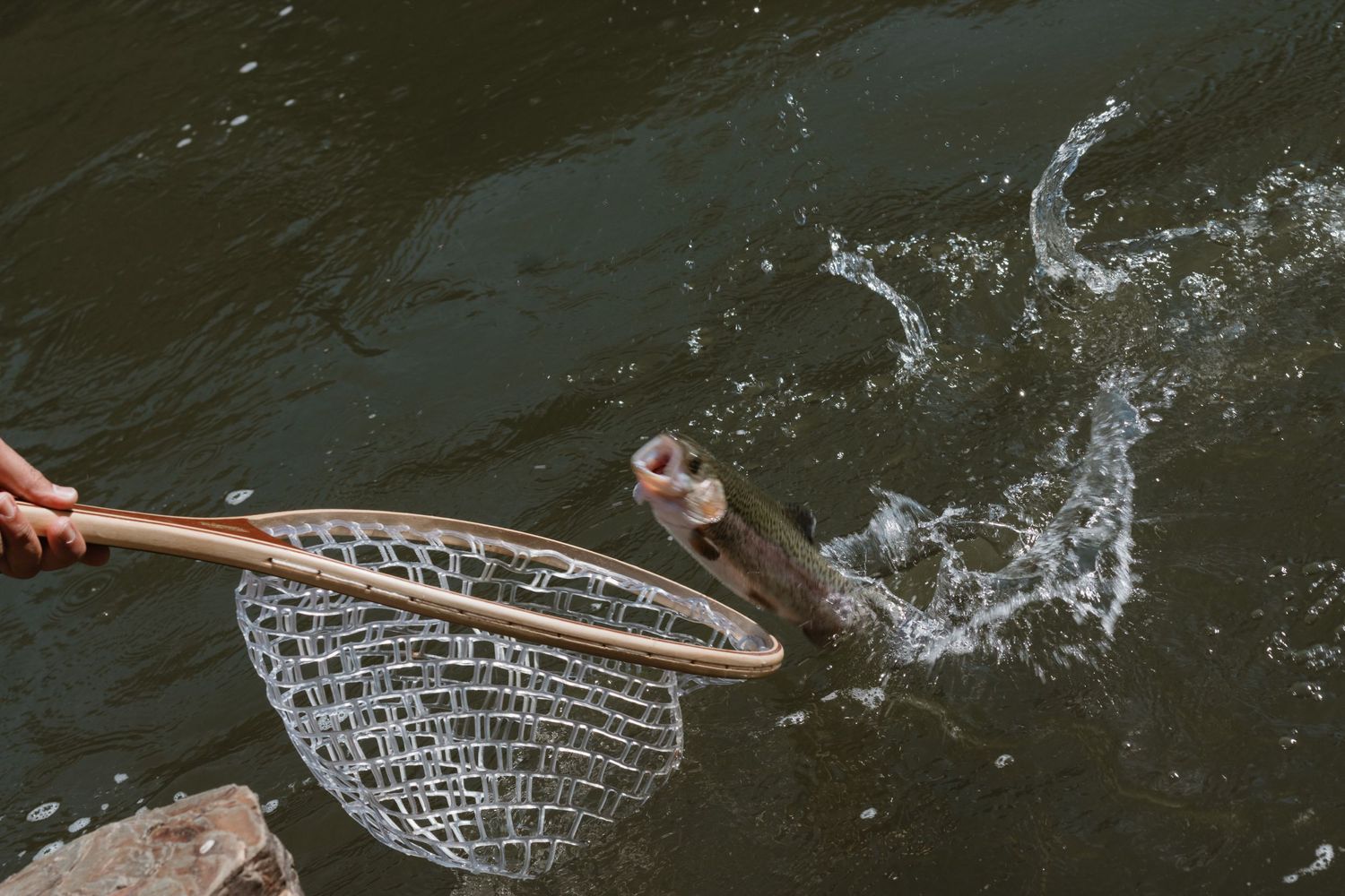 A fishing net splashes into dark water to catch a fish.