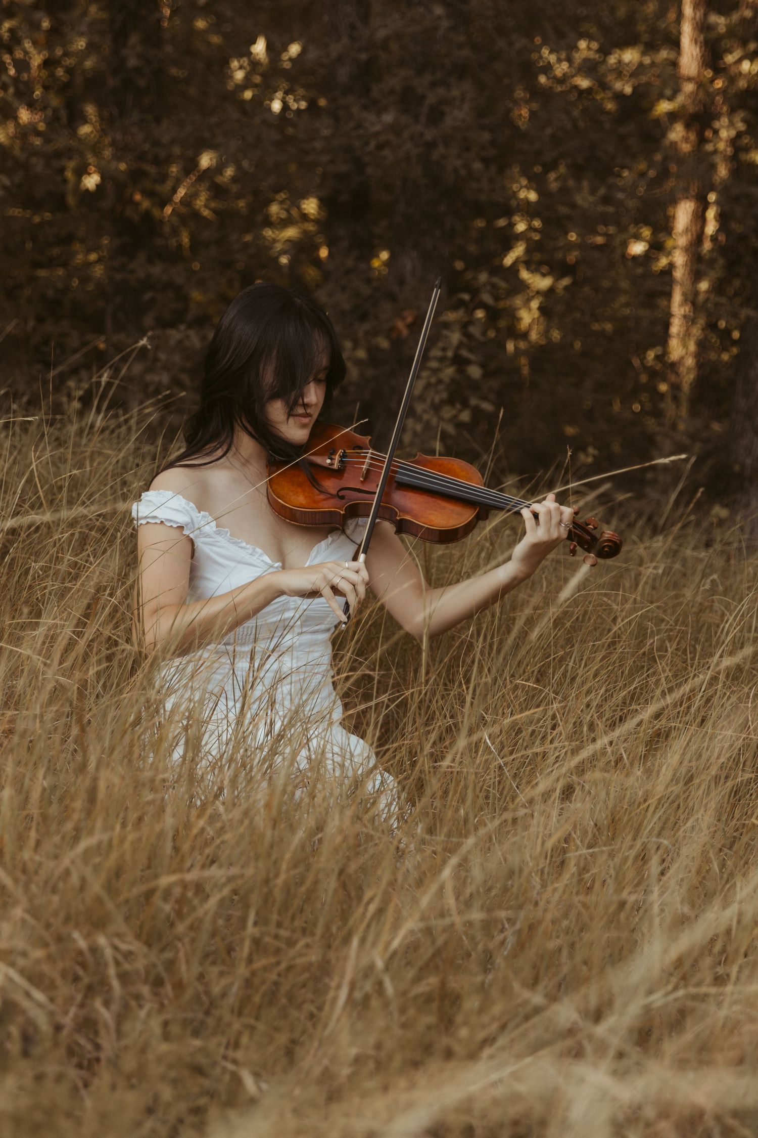 A violin being played in a golden field of tall grass during sunset.