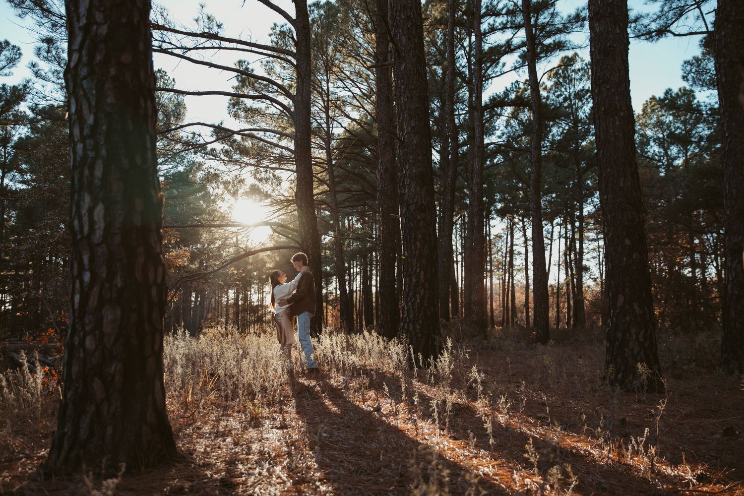 Golden sunlight streams through tall pine trees in a serene forest landscape. engagement photos Fort Worth