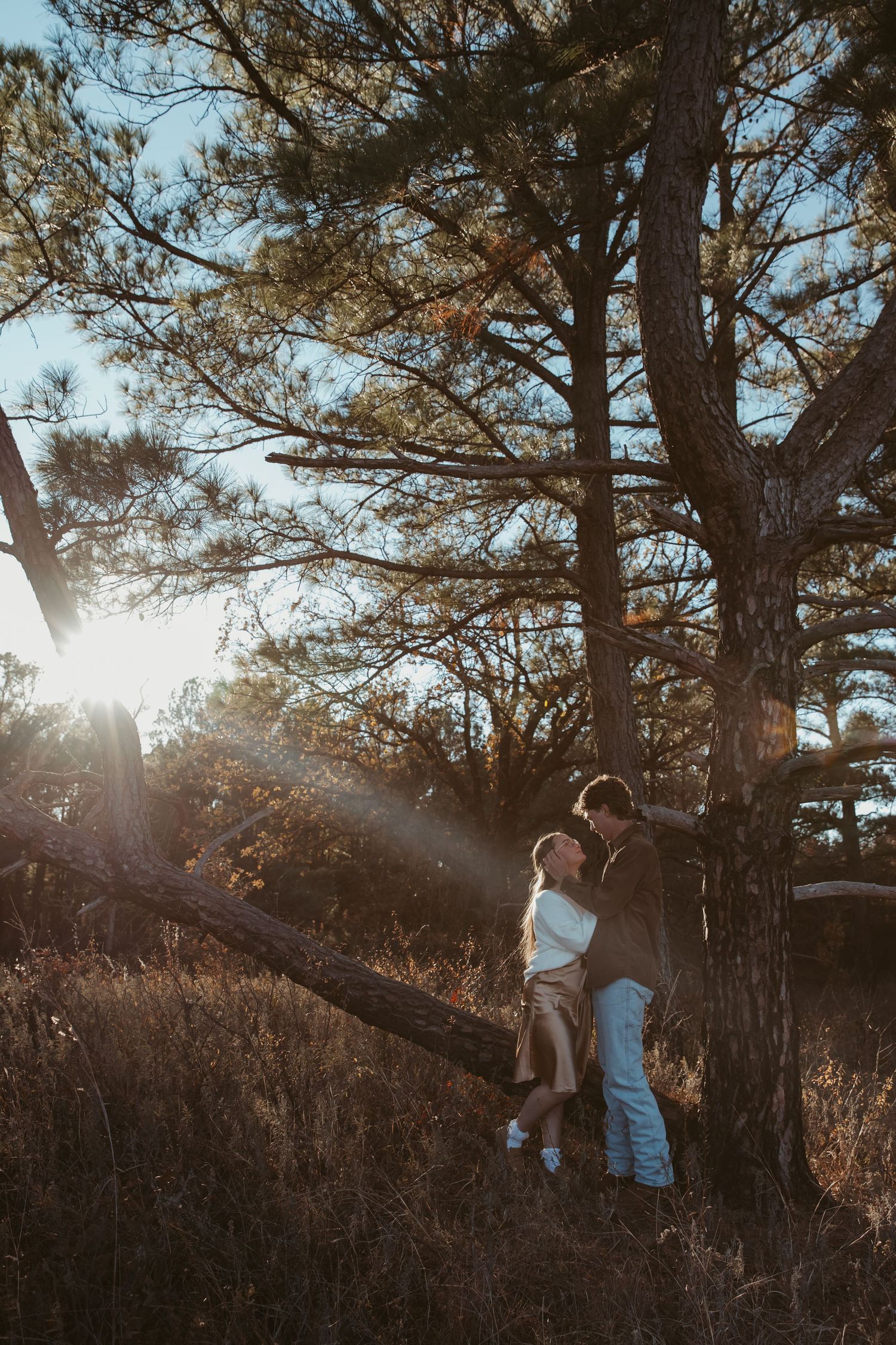 Silhouetted figures stand beneath towering pine trees at golden hour as sunlight streams through the branches. engagement photos DFW