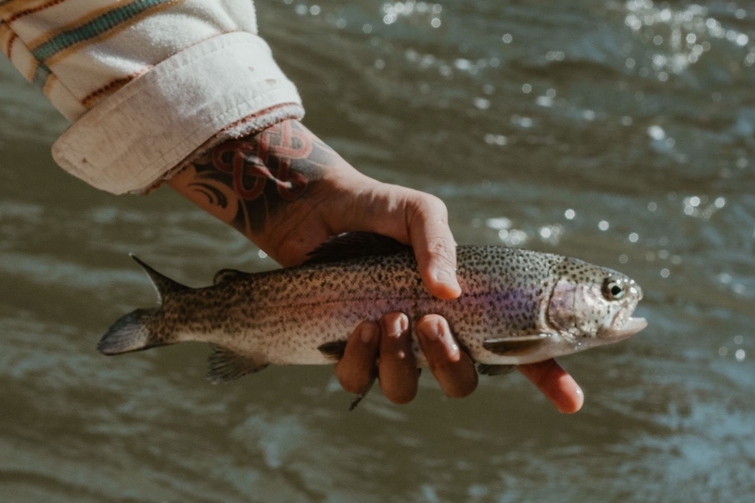 Hands holding a freshly caught trout with spots against flowing water.