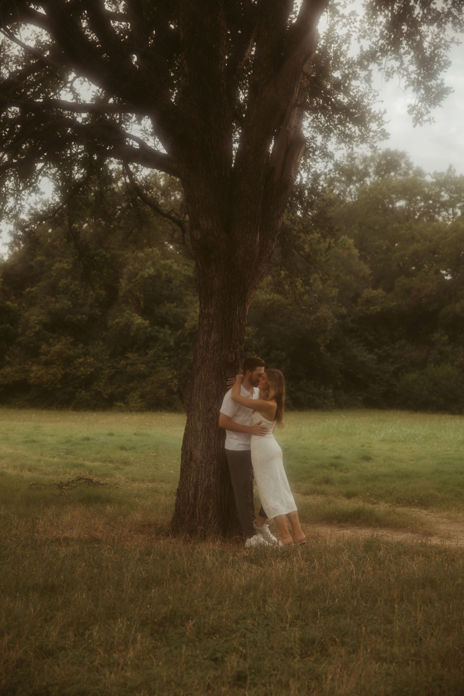 Couple embracing and kissing under a large tree in a lush green meadow during a romantic outdoor photo session.