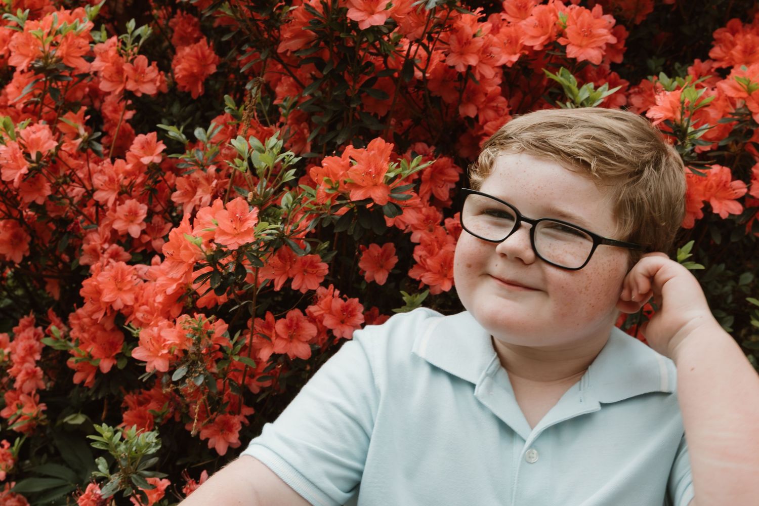 A youth in light blue polo shirt poses against vibrant red azalea bushes in bloom.