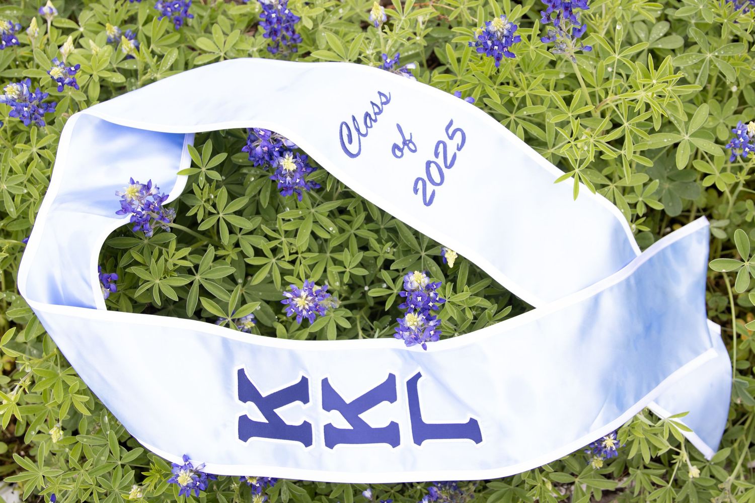 A white embroidered sash with blue lettering lies curled among purple flowers and green foliage in a garden setting.