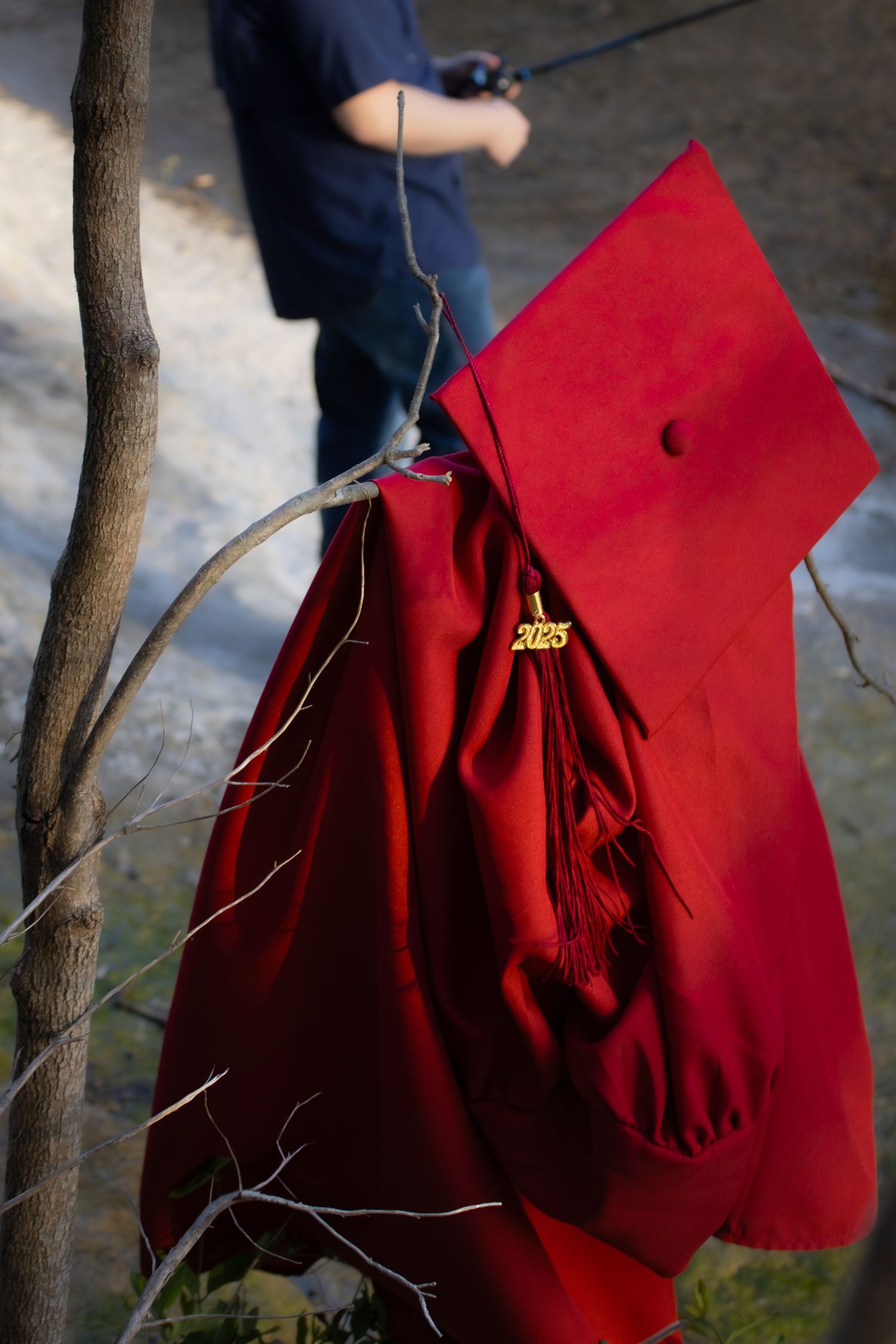 A bright red graduation cap and gown hangs on a tree branch outdoors during a photoshoot.