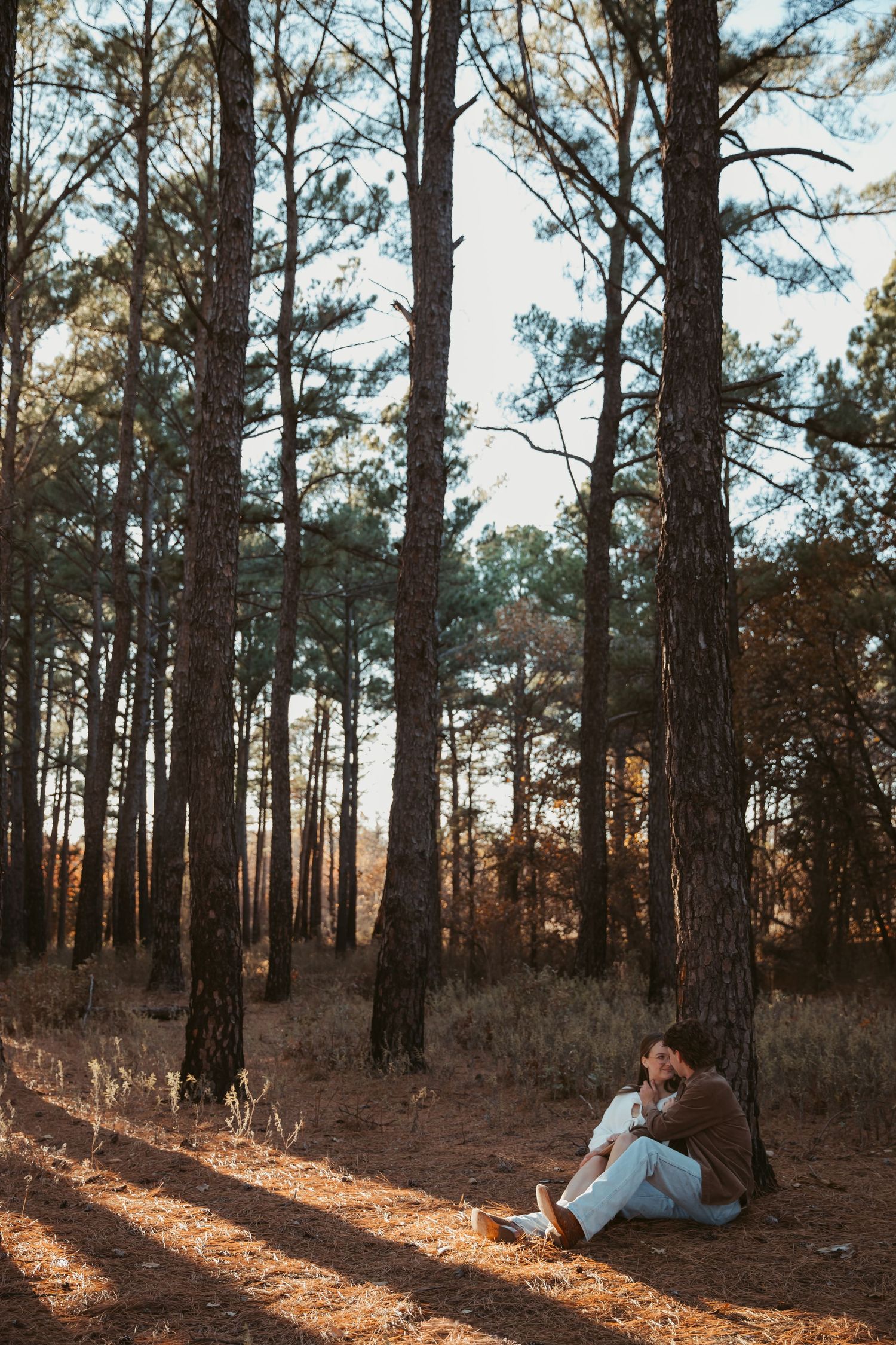 A couple relaxes together on fallen pine needles in a sunlit forest clearing. engagement photos Fort Worth