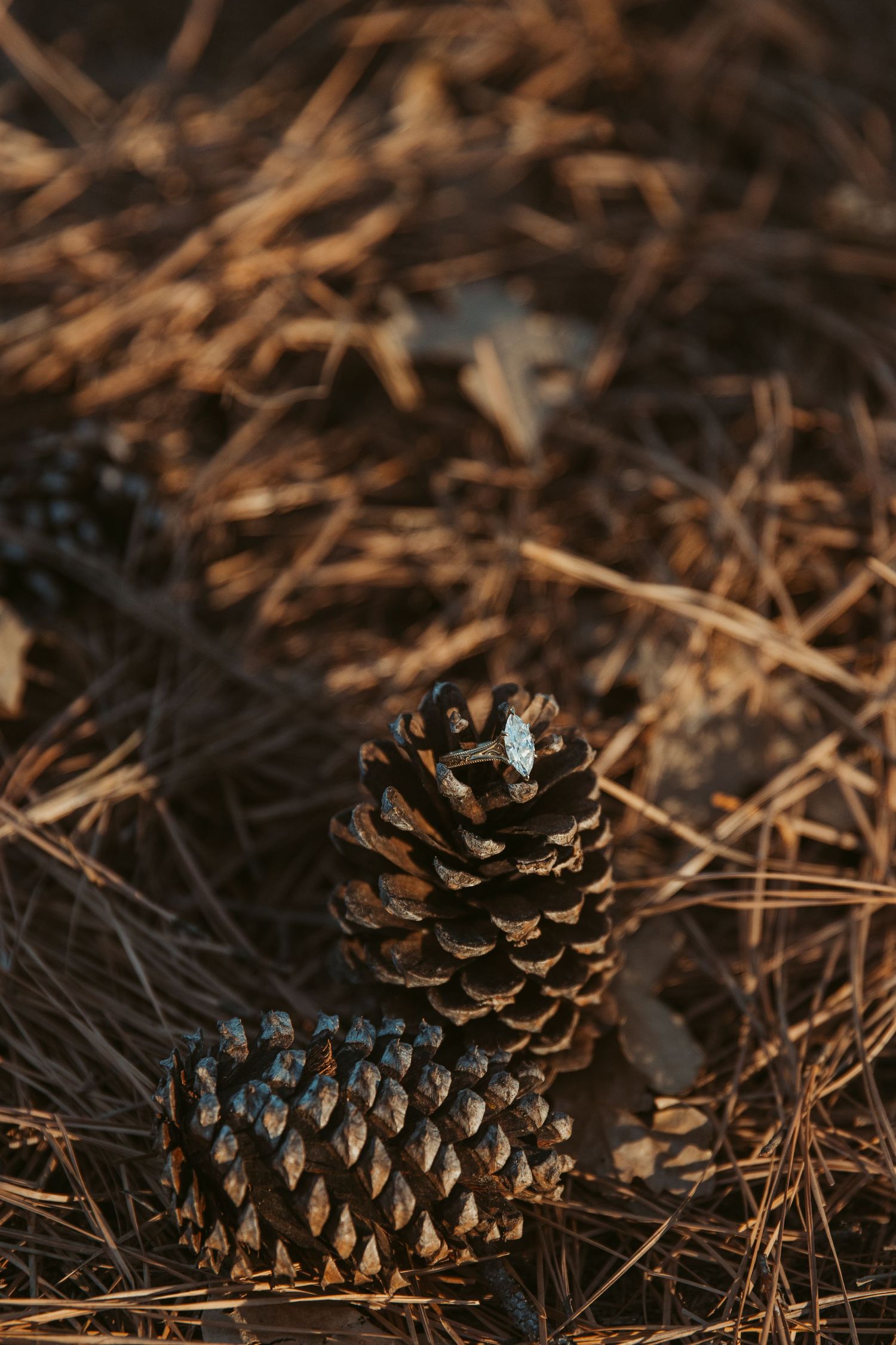 Close up of engagement ring during LBJ Grasslands engagement session