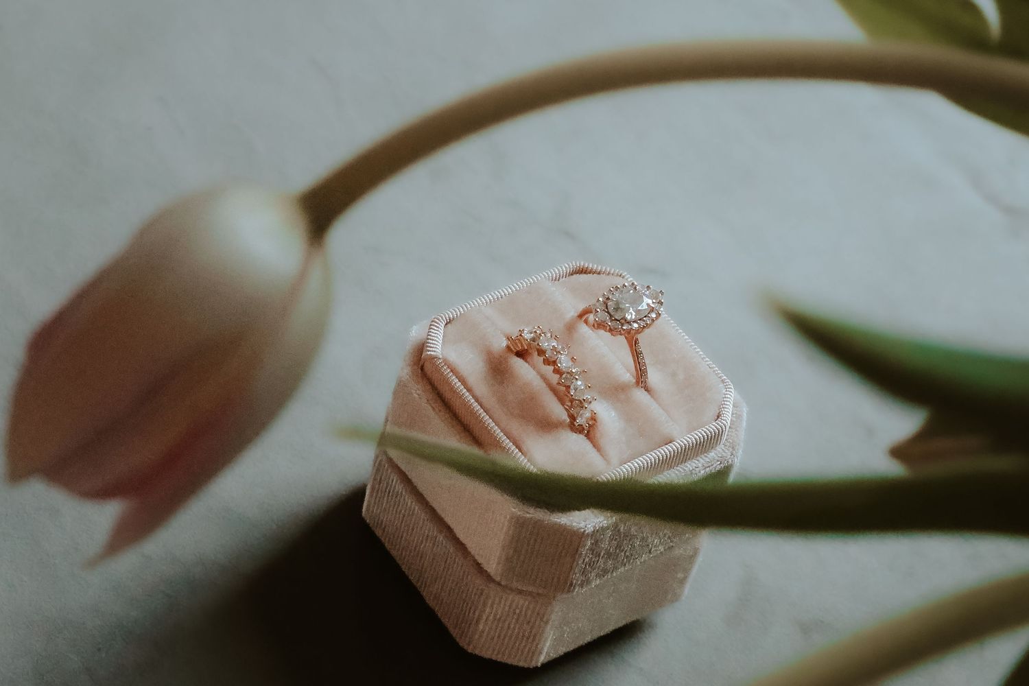 A delicate pink engagement ring box sits beside a soft blush tulip in a moody, romantic setting.