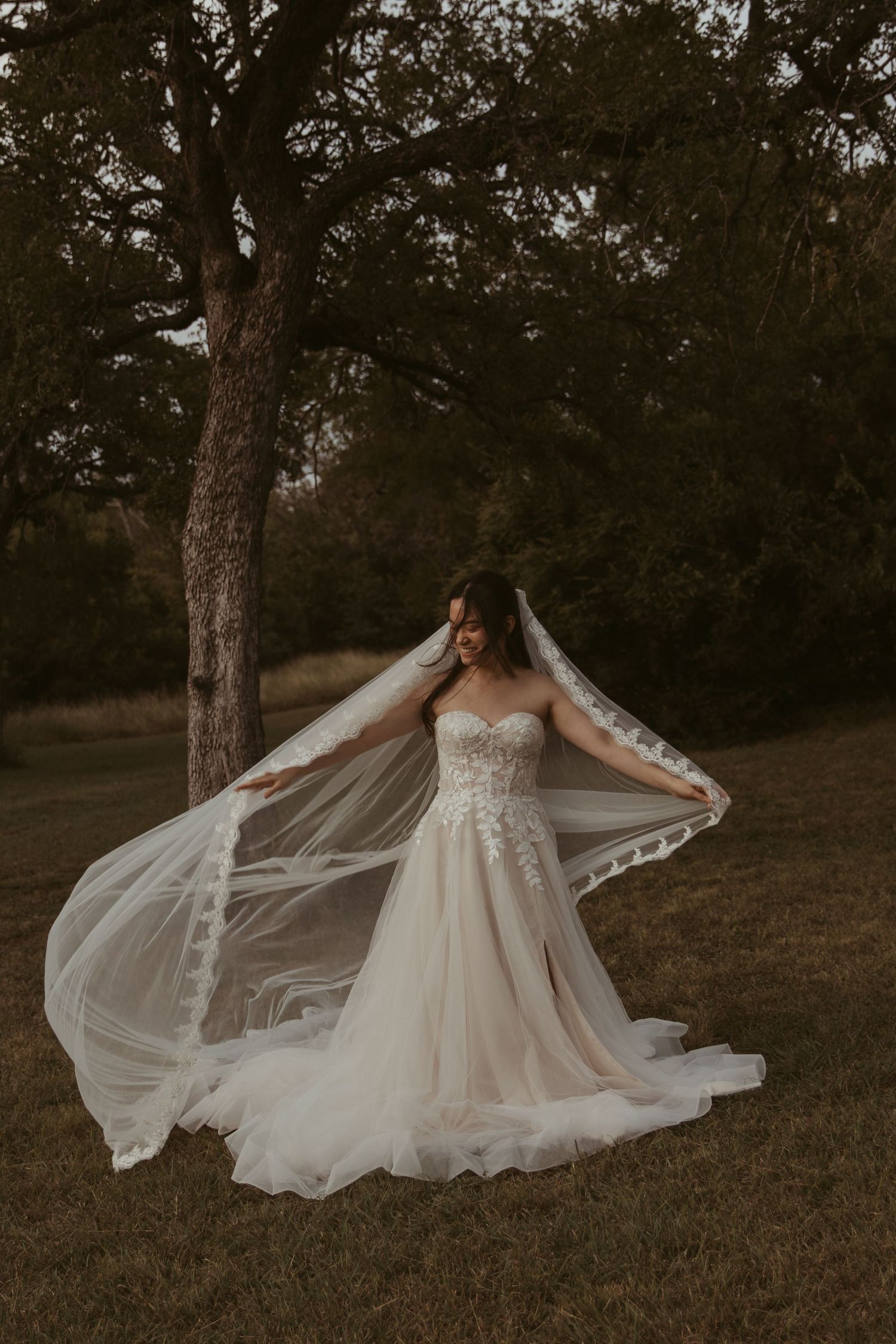 A bride in a flowing white gown spreads her delicate veil in a romantic outdoor woodland setting at sunset.