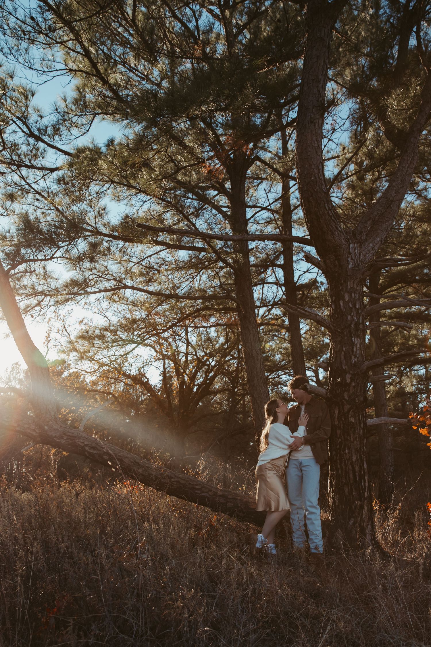 A couple stands together in a sunlit forest with tall pine trees during golden hour.