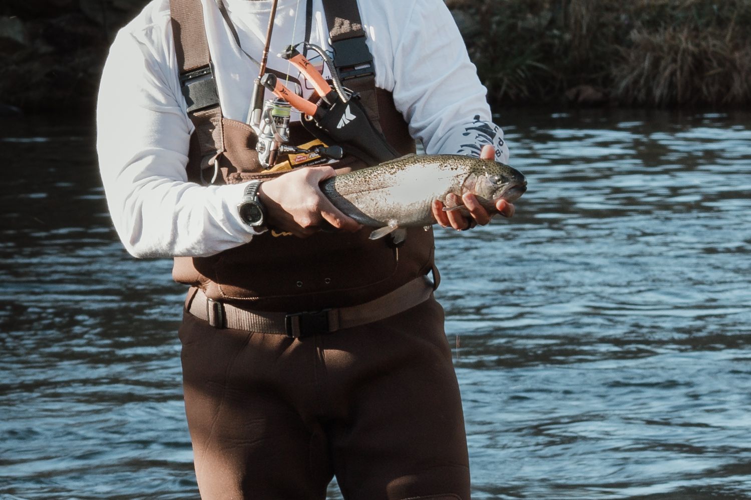 Closeup of a caught trout being held in wading gear above the water.