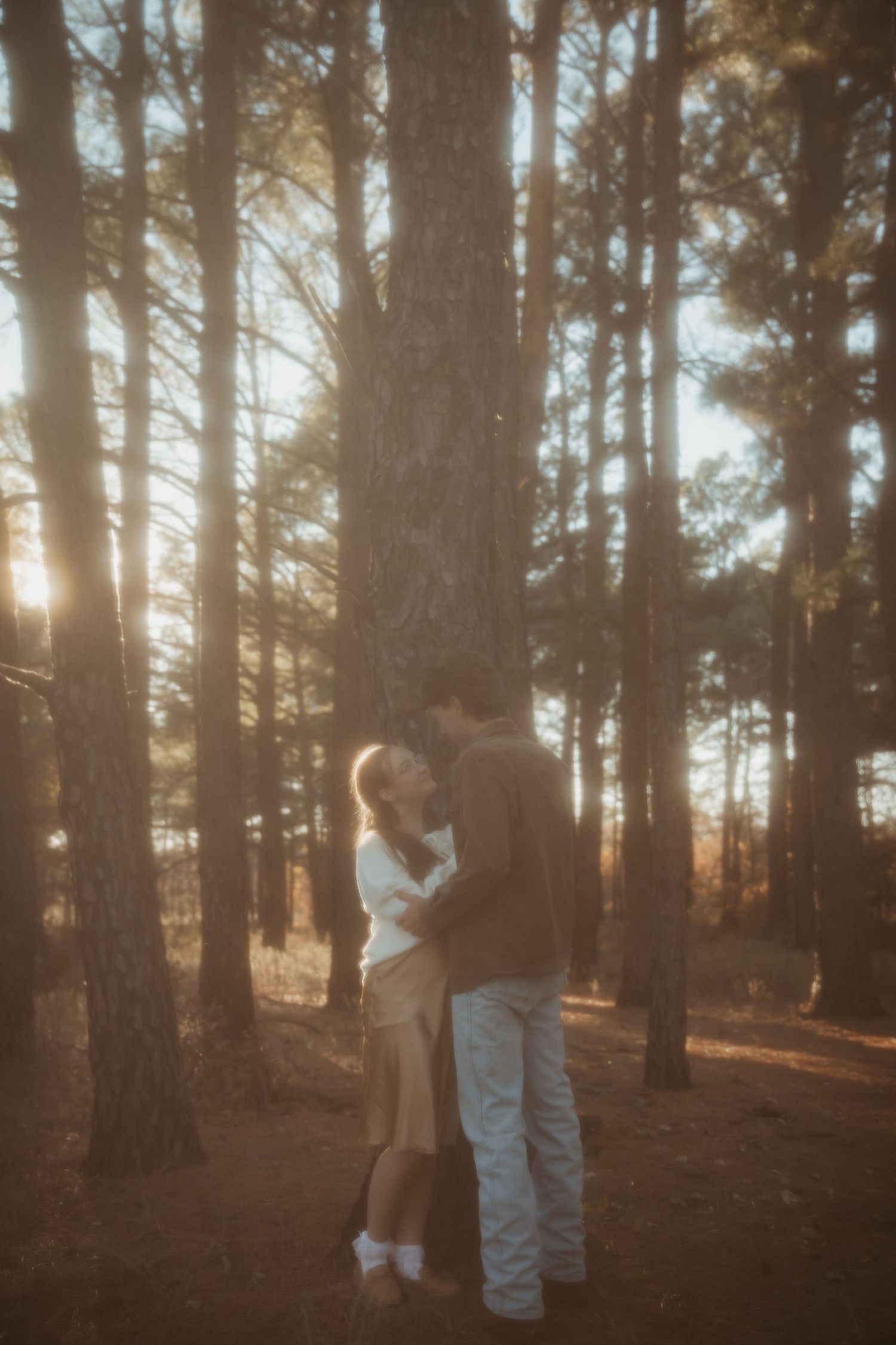Sunlit forest scene with figures in white outfits standing among tall pine trees at golden hour. engagement photos DFW