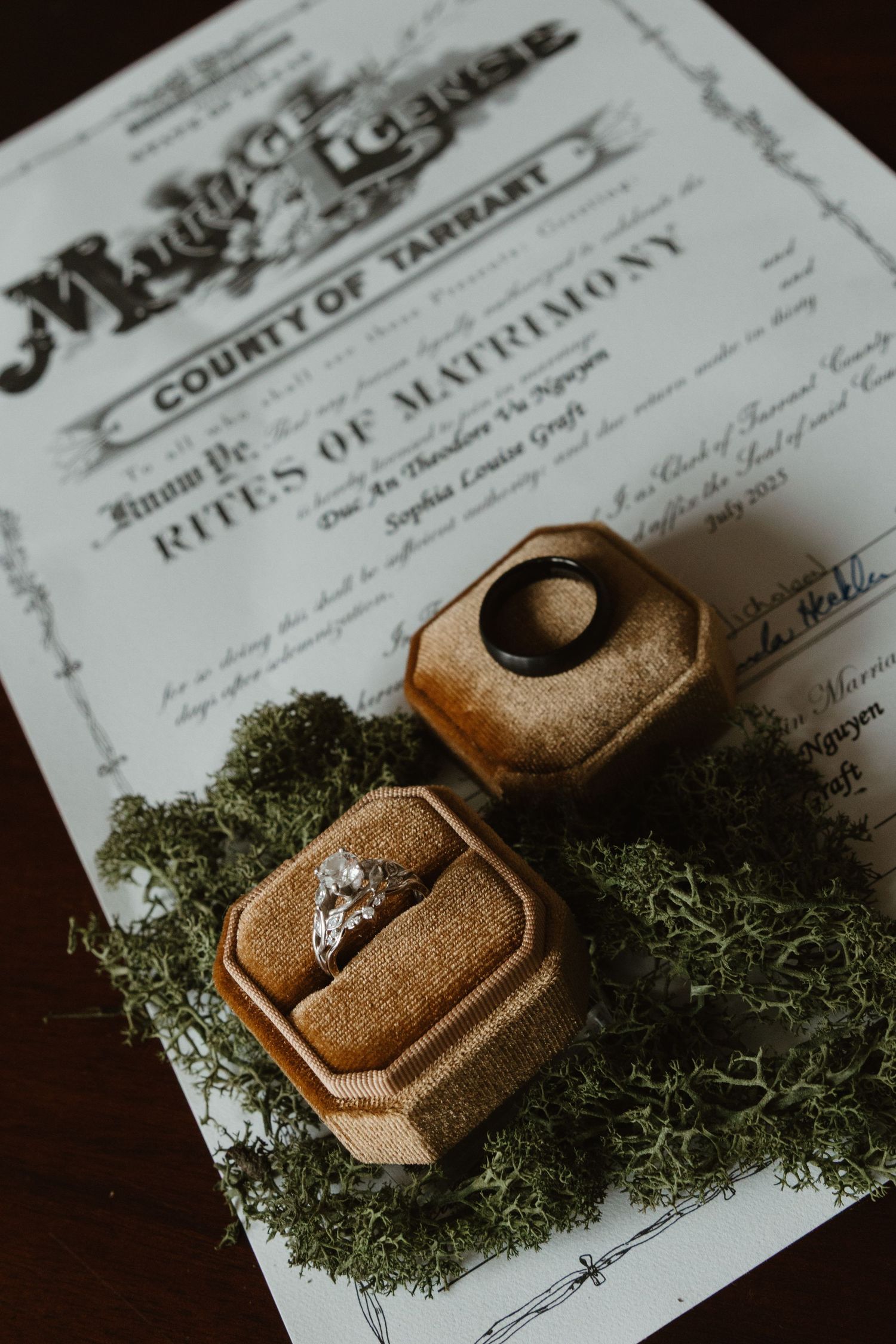 Marriage license documents displayed with wedding rings and green moss in an artistic flat lay composition.