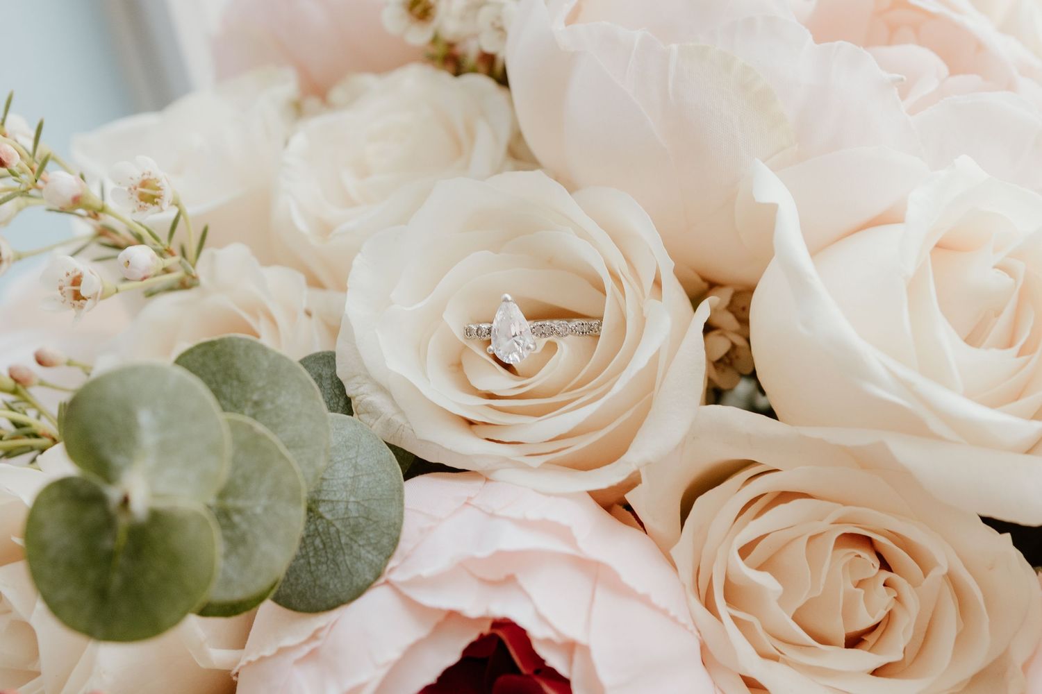 A delicate wedding ring nestled between soft pink and white roses with eucalyptus leaves.