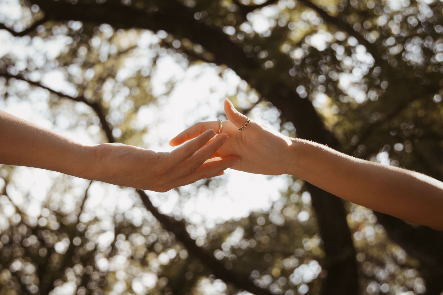 Two hands reach toward each other against a sunlit backdrop of trees in a tender moment of connection.