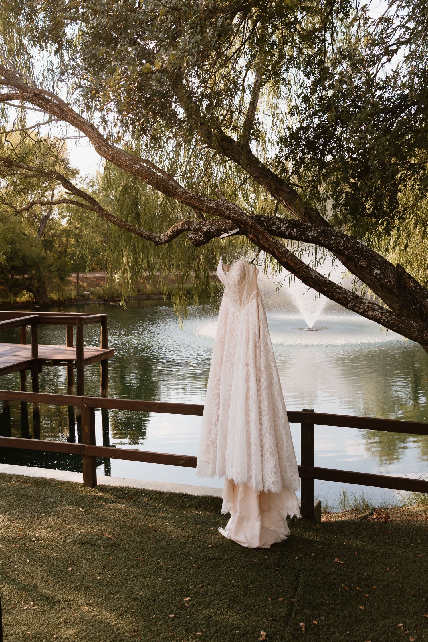 White lace wedding dress hanging from a willow tree branch beside a serene lake at sunset.