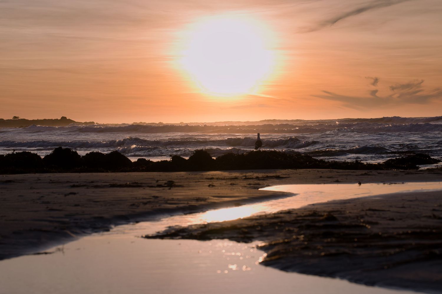 A stunning golden sunset over the ocean with waves and rocky shoreline in the foreground.
