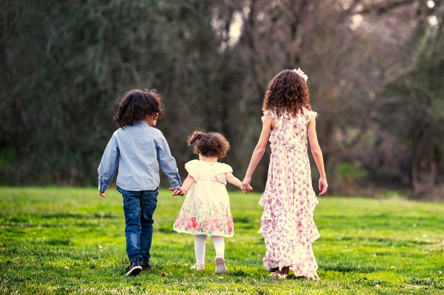 Three young siblings holding hands walking through a green park, seen from behind on a sunny day.