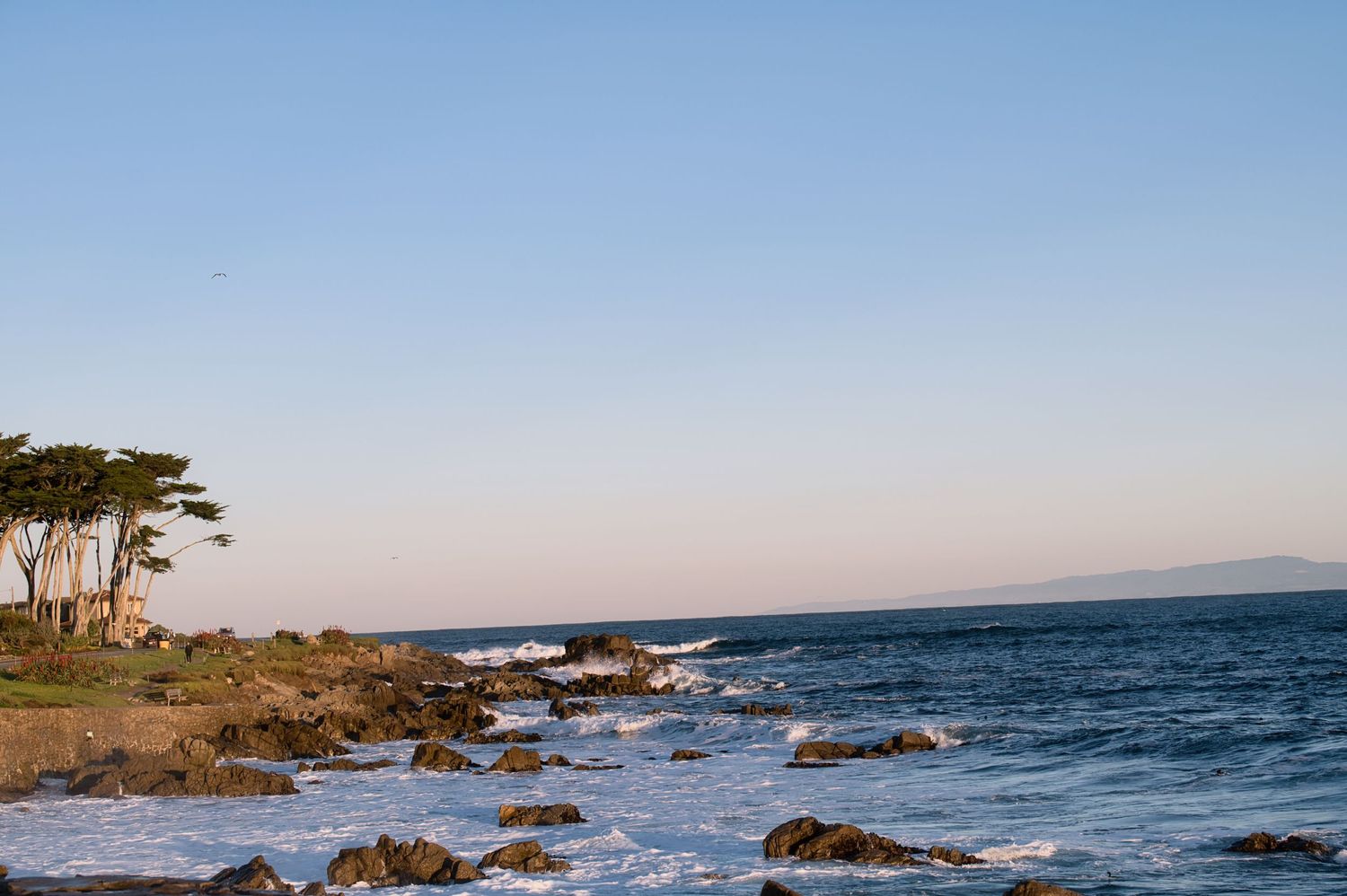 Scenic coastal view at dusk with rocky shoreline, ocean waves, and cypress trees against a clear sky.