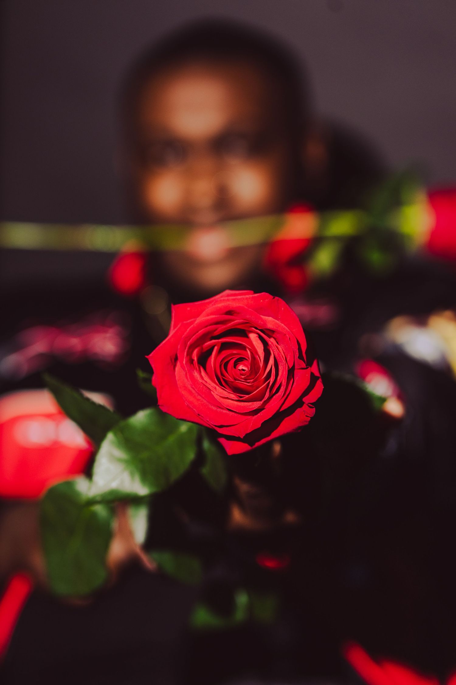 Close-up of vibrant red rose with soft focus background.