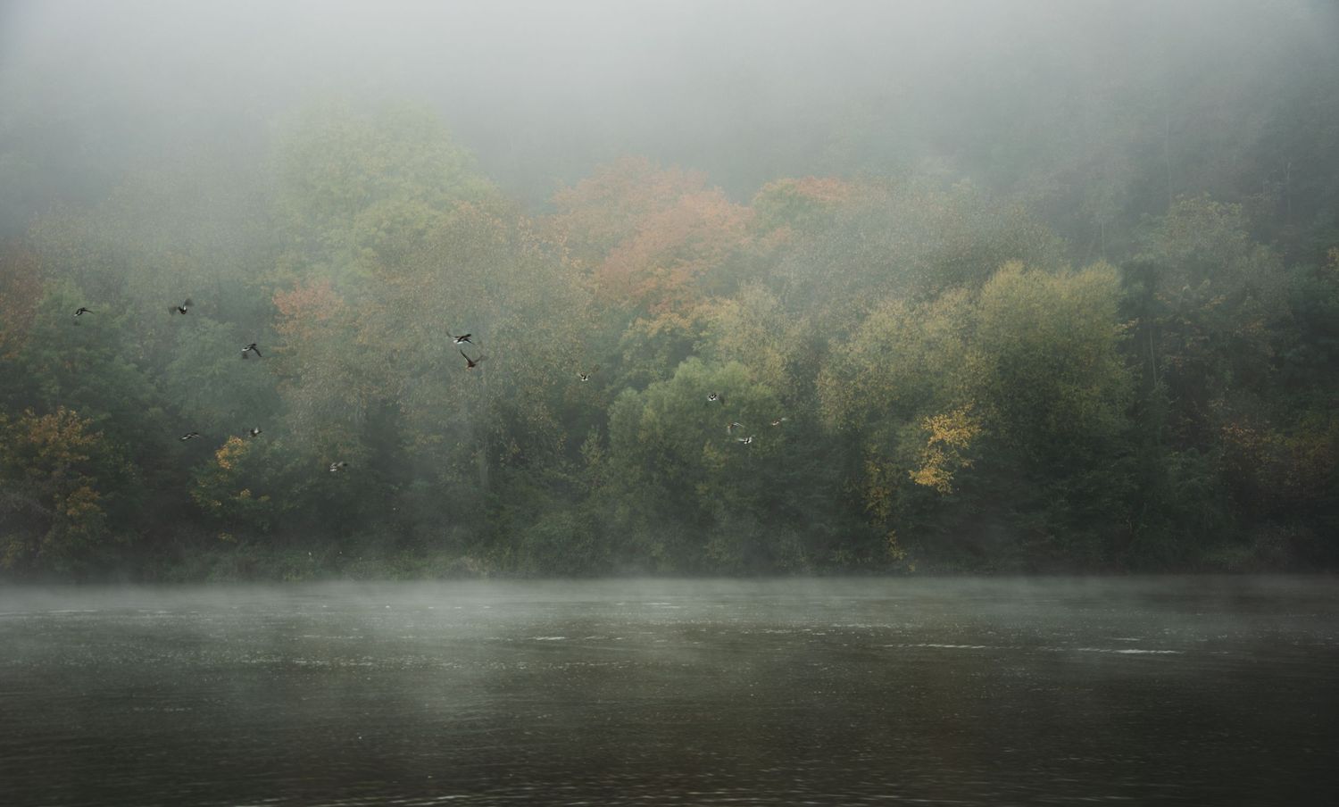 Misty forest landscape with autumn colors reflecting in calm water during foggy morning.