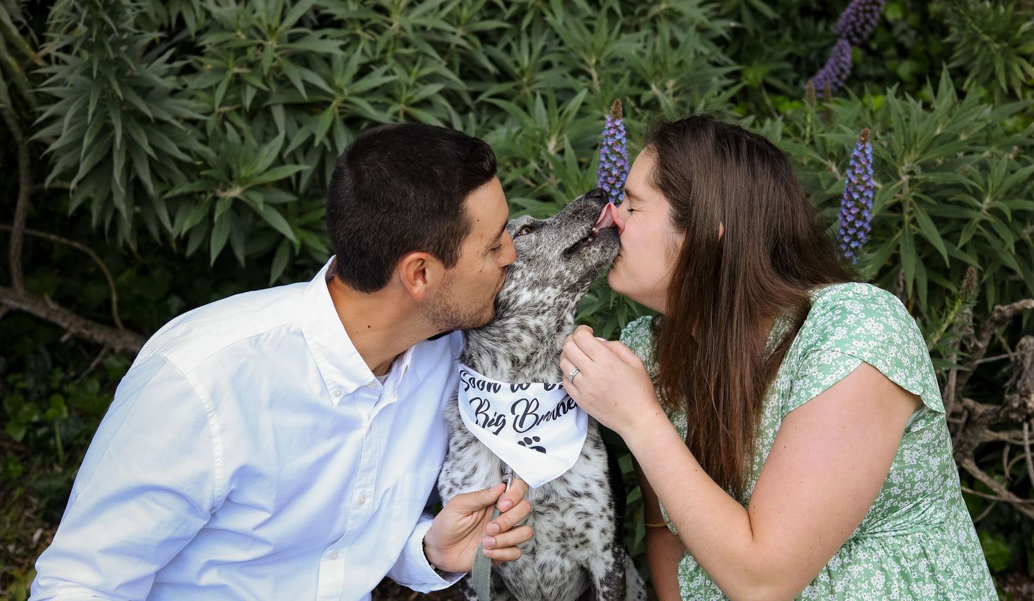 Couple walking away holding hands with dog on leash, symbolizing starting a family, lifestyle pregnancy announcement in the Bay Area.