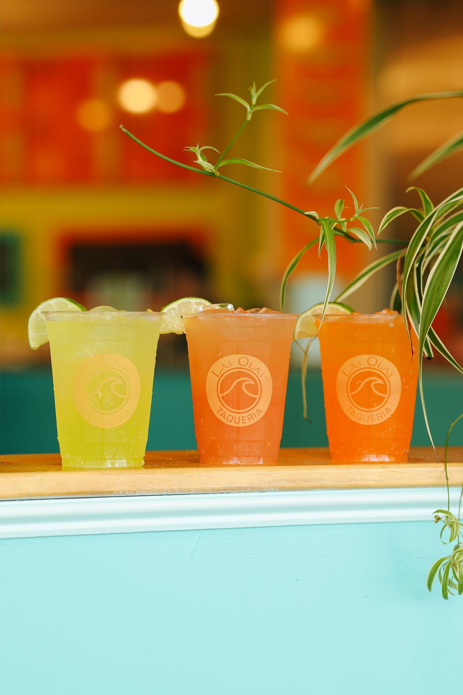 Colorful tropical cocktails with garnishes lined up on a bar counter with turquoise background and soft bokeh lighting.