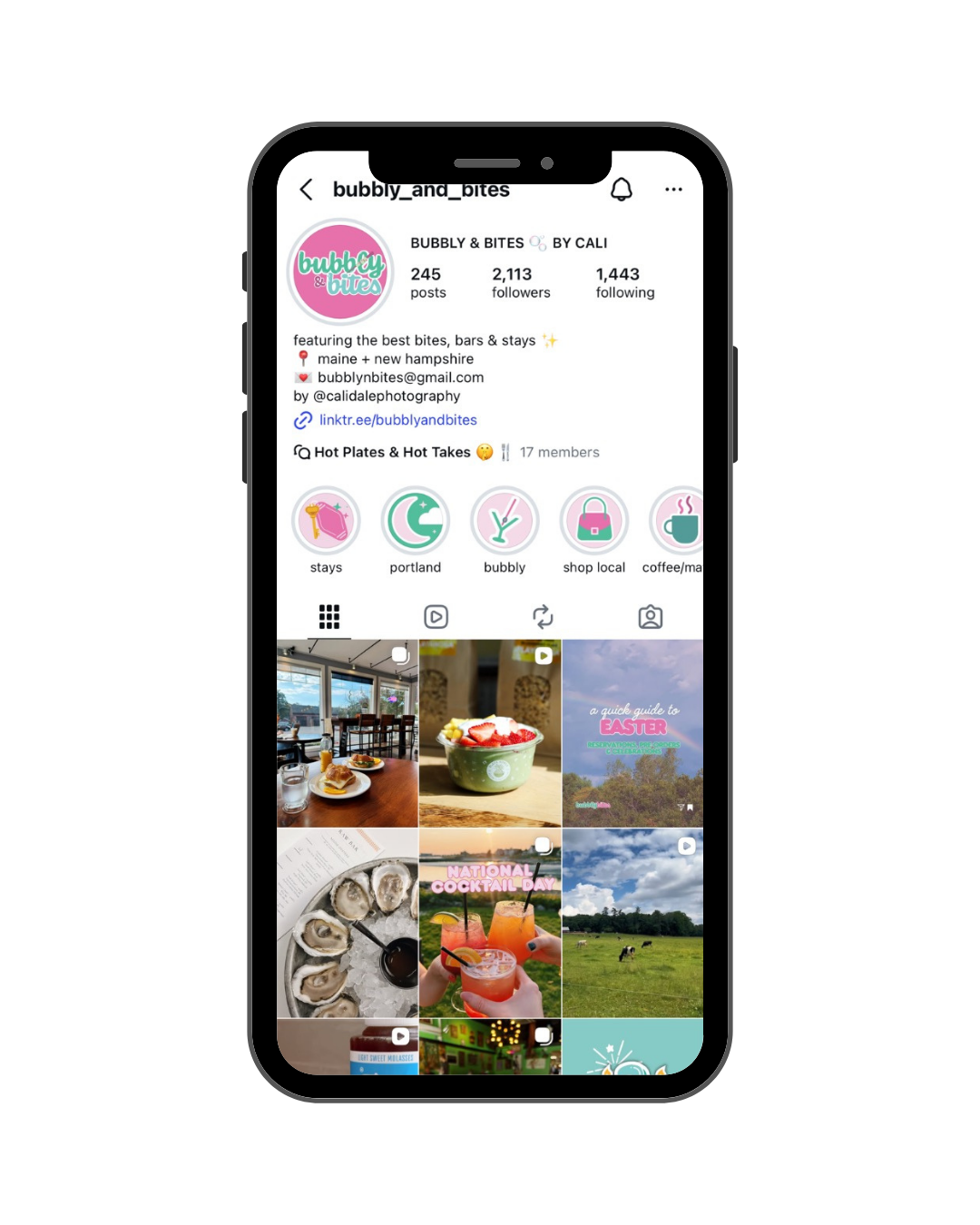Instagram profile of Bubbly and Bites food and travel account displayed on a smartphone screen.