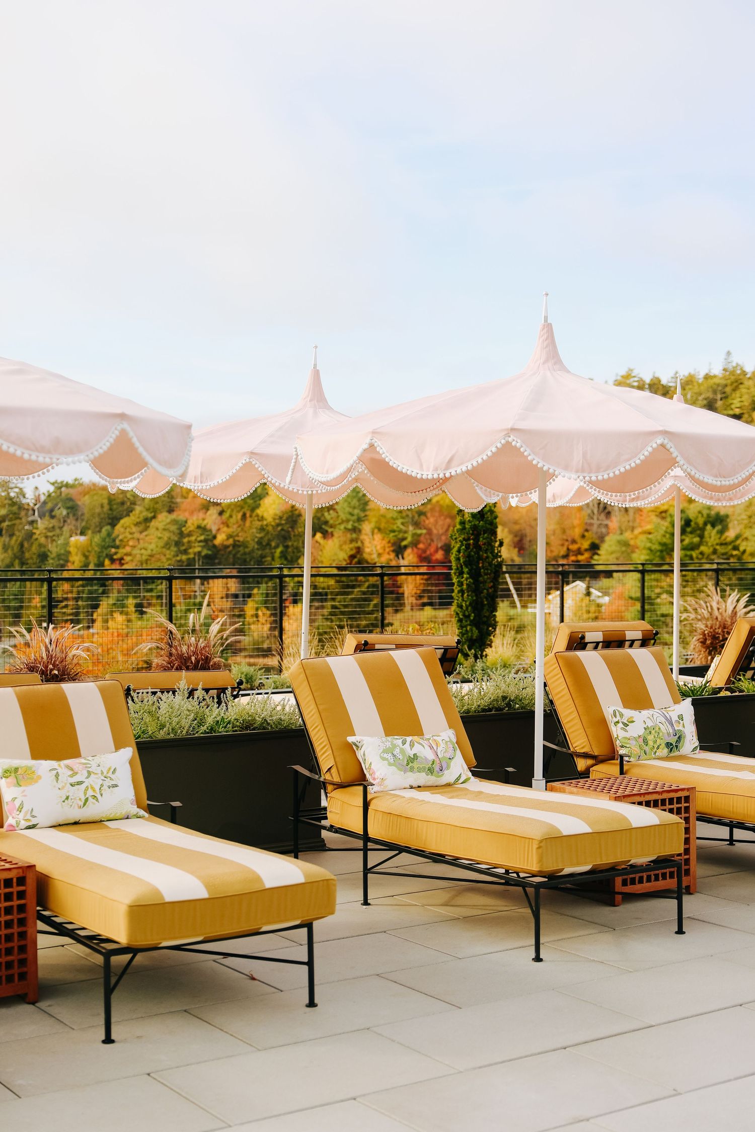 Row of yellow lounge chairs with white umbrellas on a rooftop patio overlooking autumn trees on a sunny day.