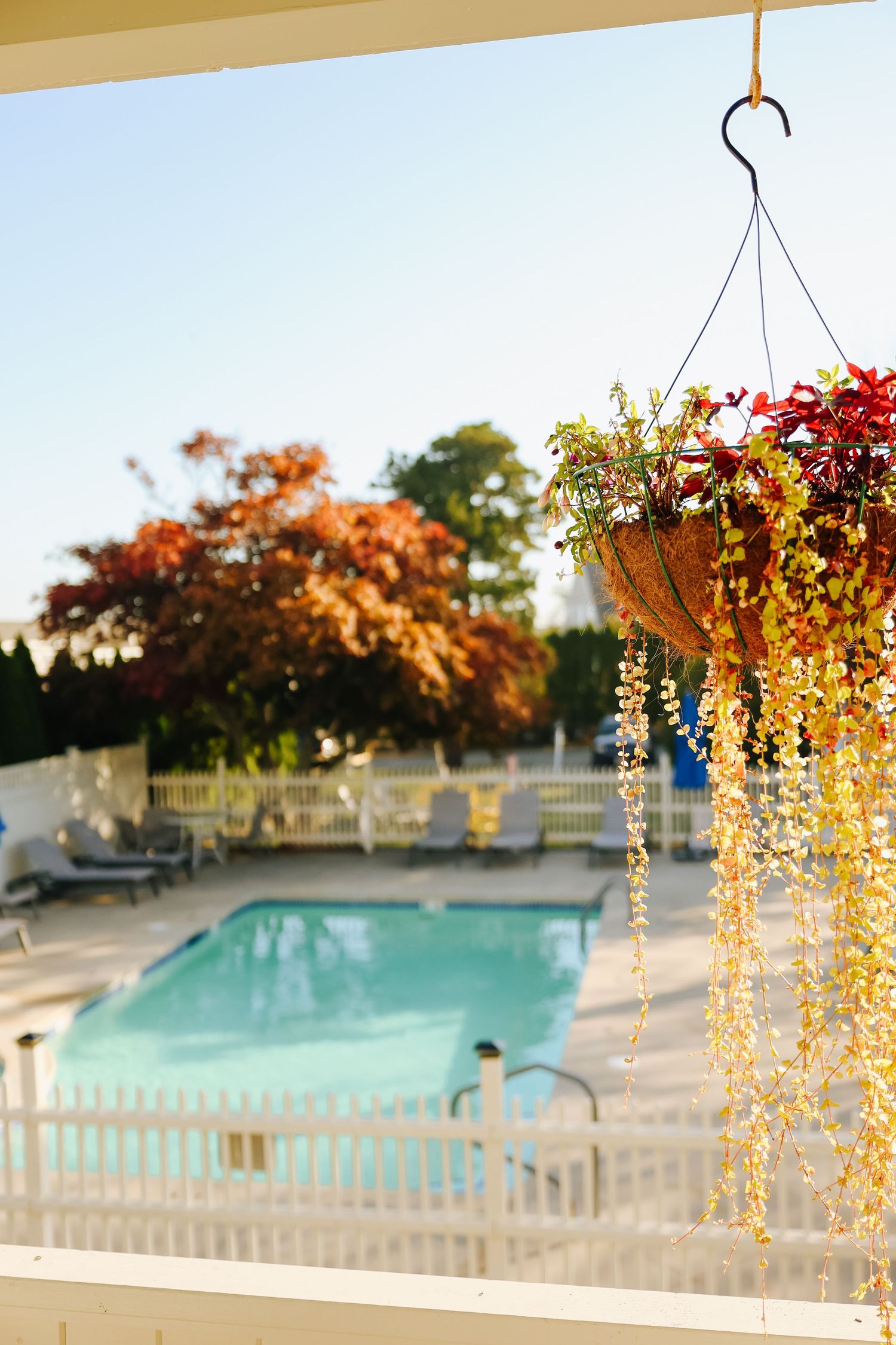 Decorative hanging floral arrangements with cascading lights frame a tranquil swimming pool at sunset.