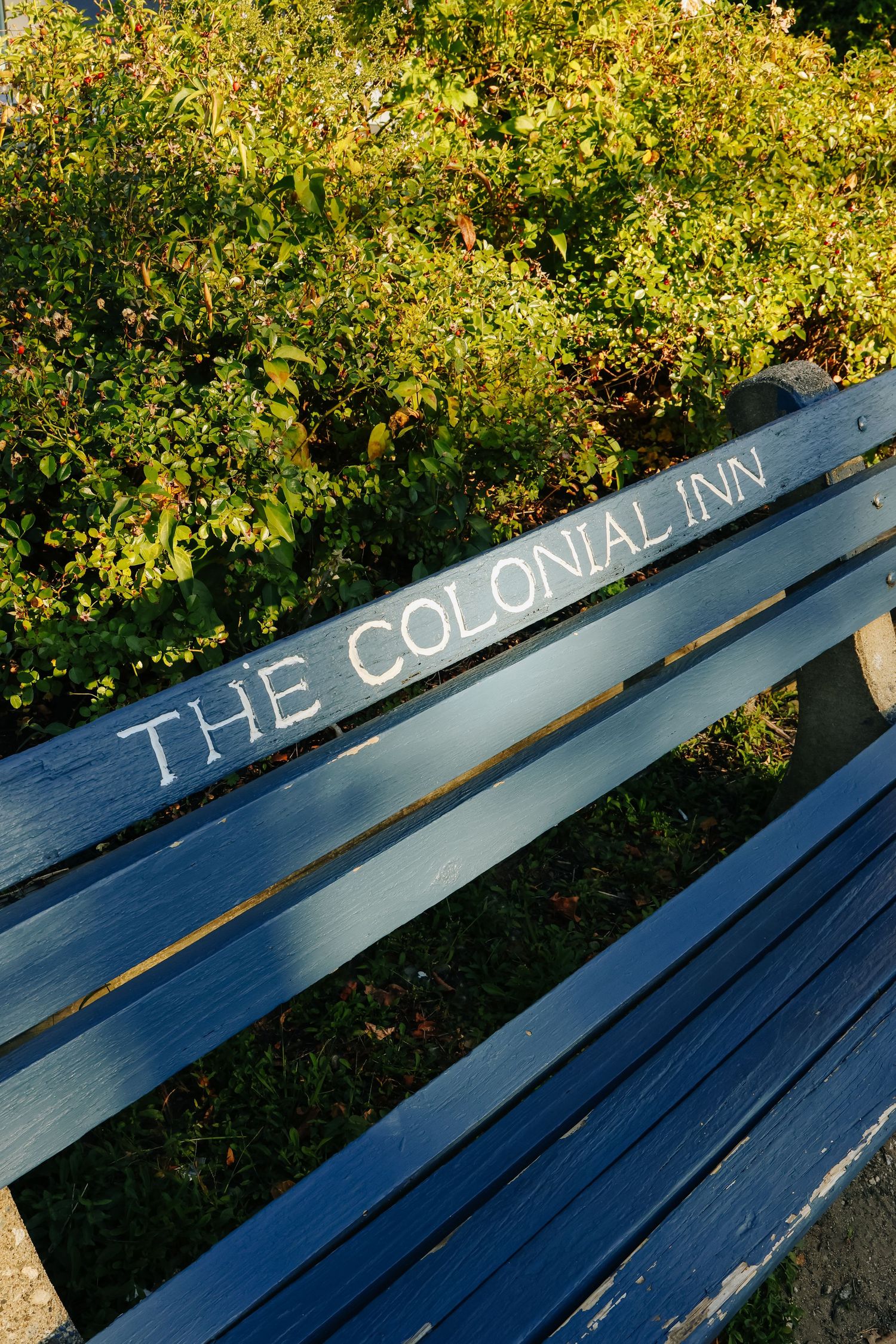 A series of park bench slats with text carved or written on them against a backdrop of yellow autumn foliage.