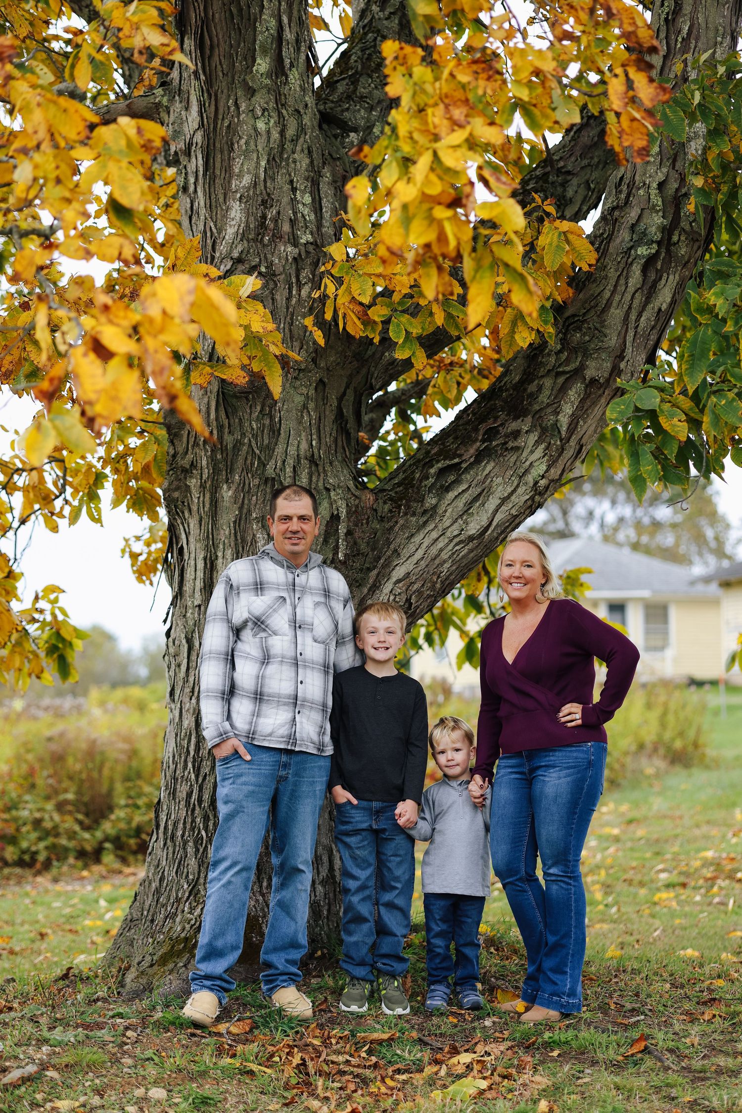 A series of four progressive reveal photos showing a family posing under a maple tree with golden autumn leaves.