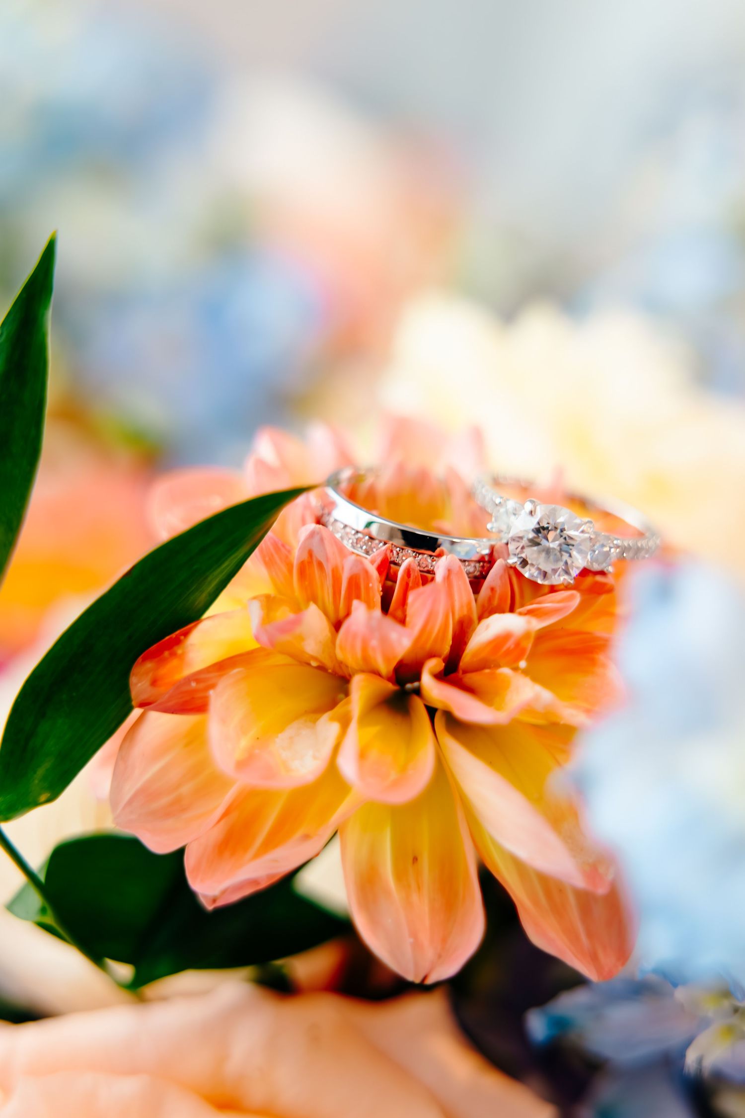 Two diamond wedding rings resting on a peach dahlia flower with soft bokeh floral background.