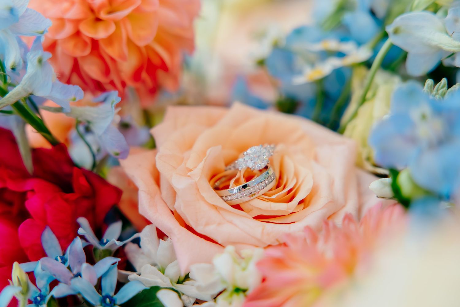 Wedding rings nestled in a peach rose surrounded by colorful blooms including blue hydrangeas and pink dahlias.