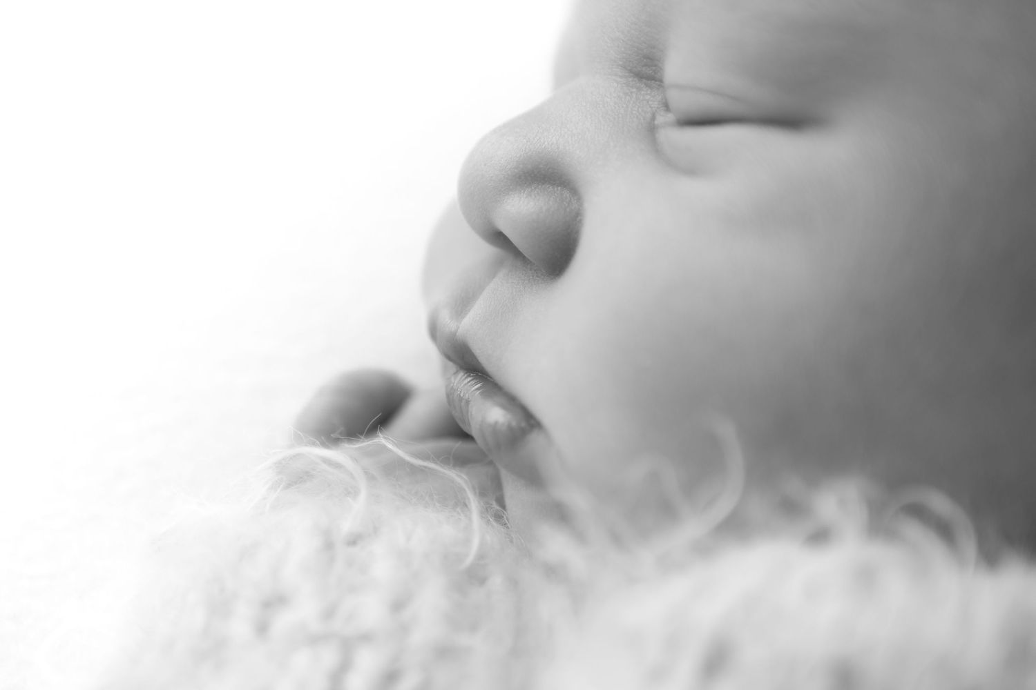 Close-up black and white portrait of sleeping newborn's facial features.